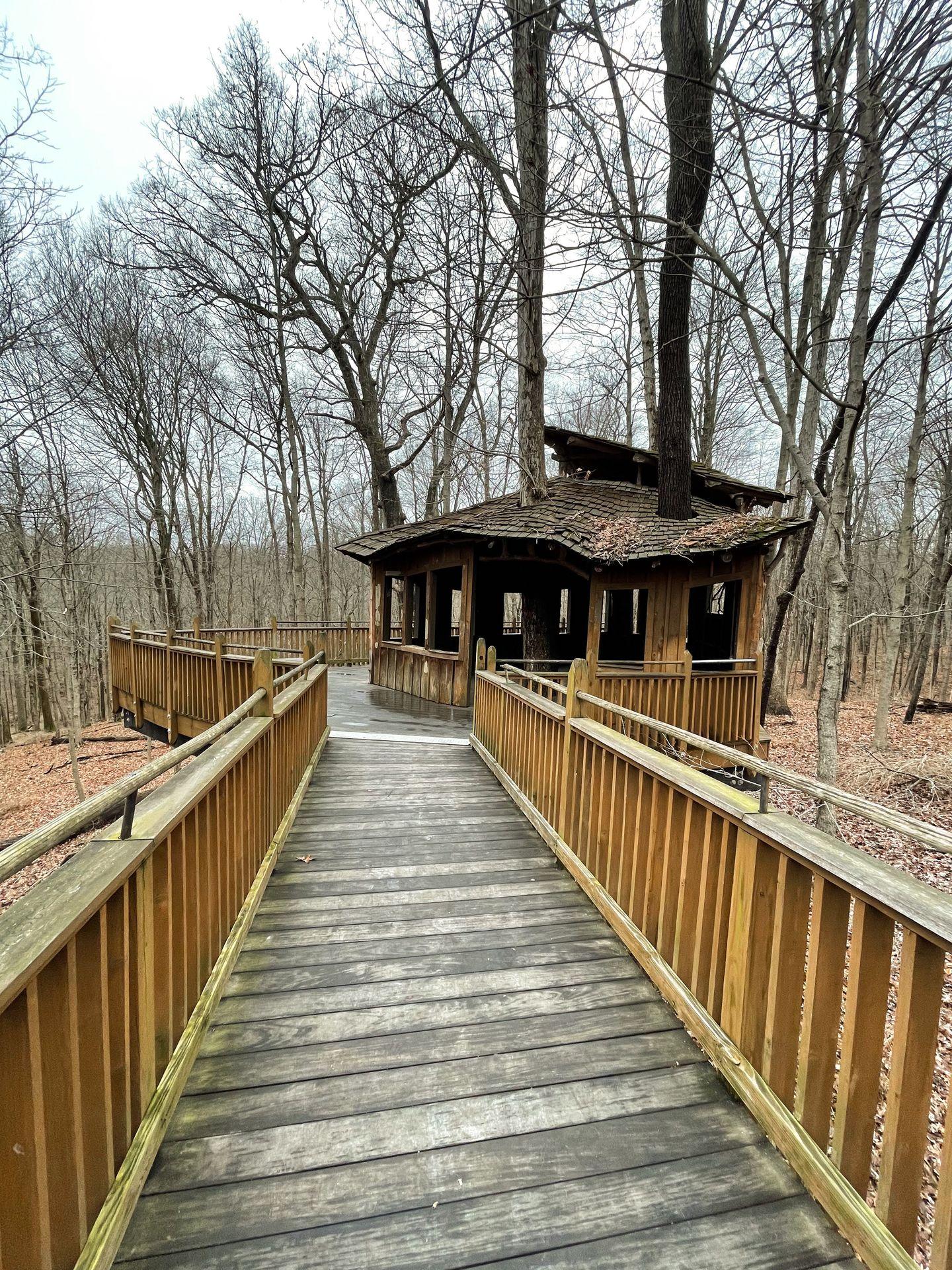 A wooden path leading to a small treehouse in  Mount Airy Forest