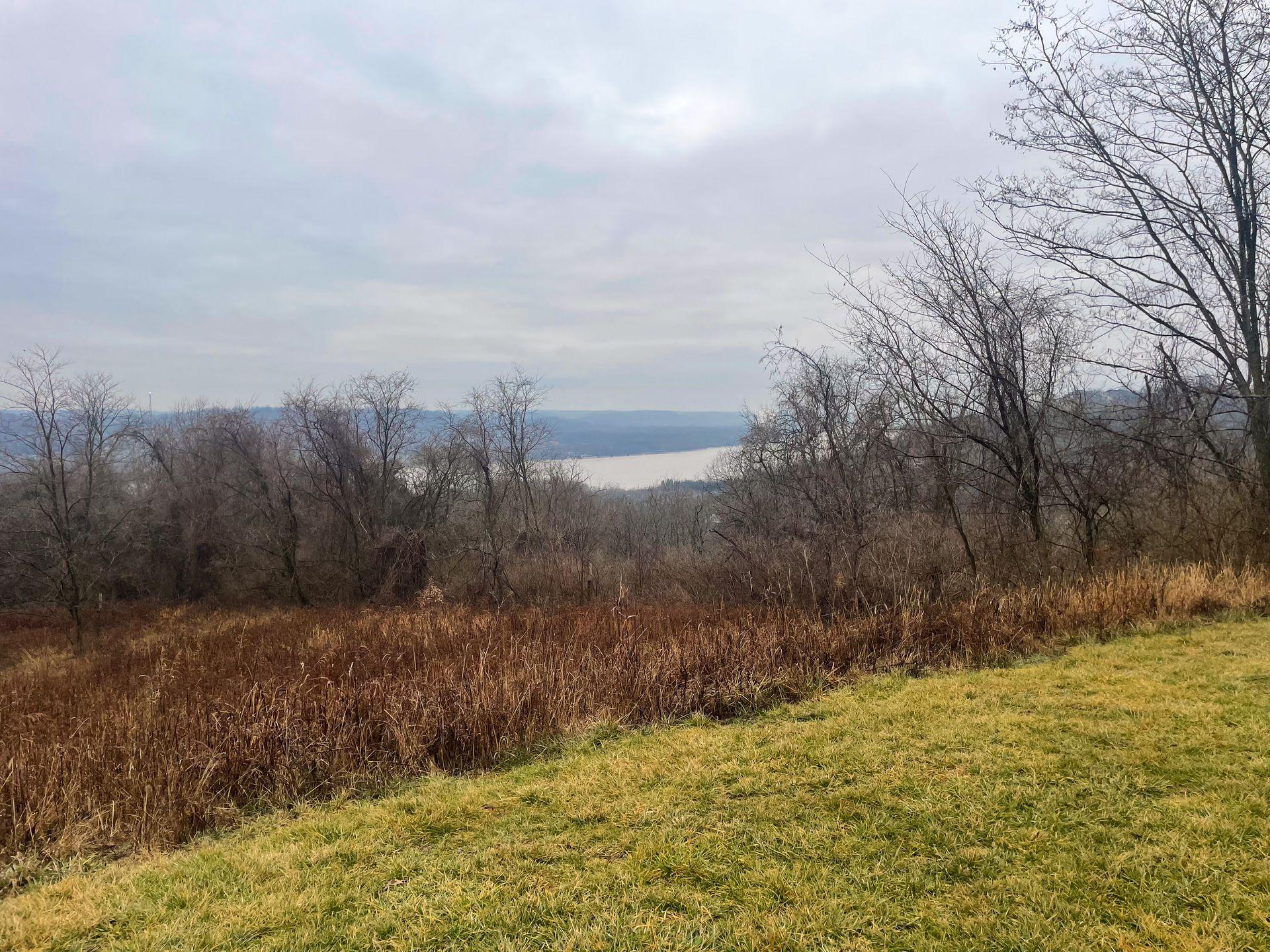 A view of the Ohio River from Woodland Mound