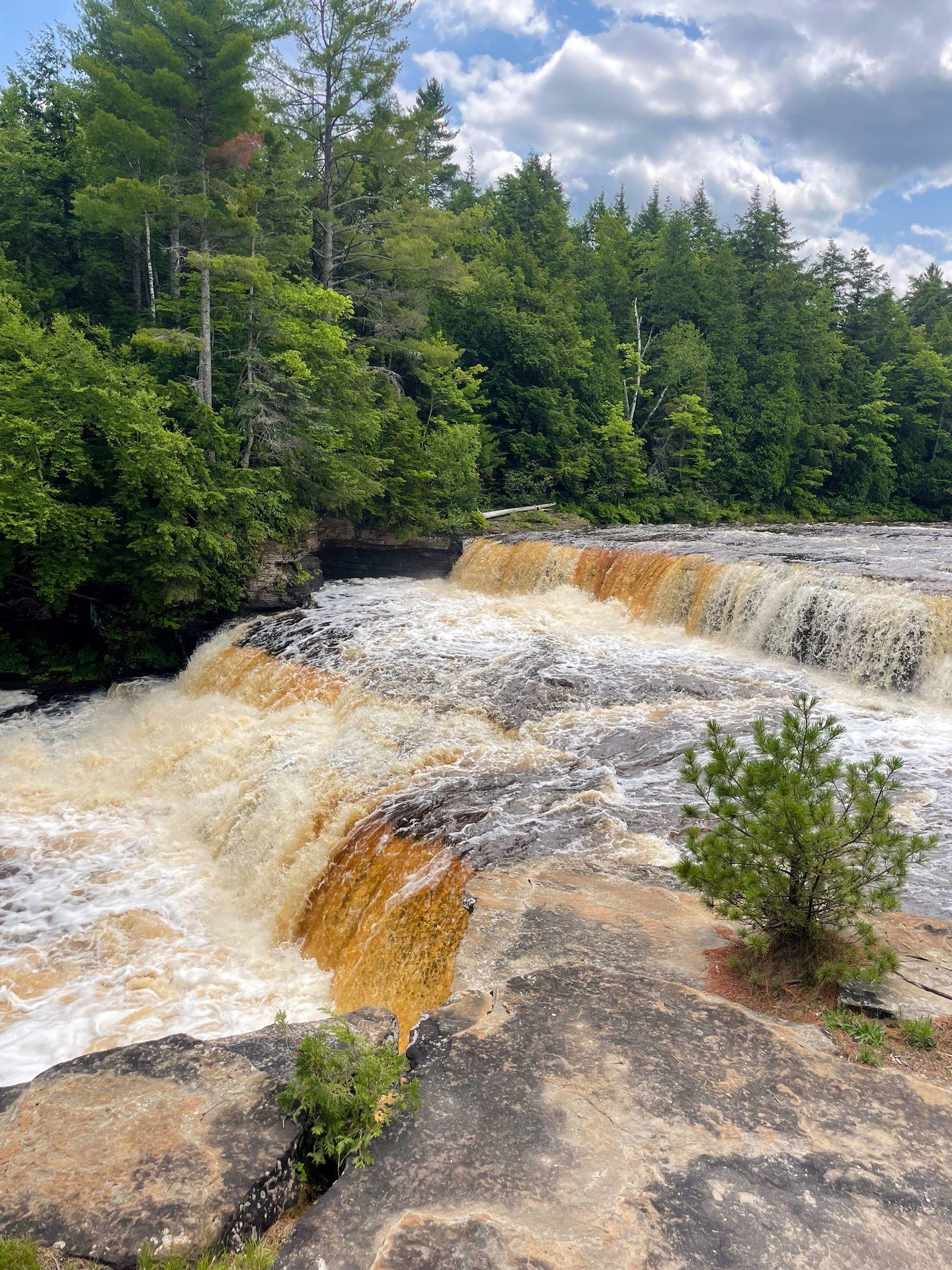 A view of Lower Falls at Tahquamenon Falls State Park. There are tall green trees across the river