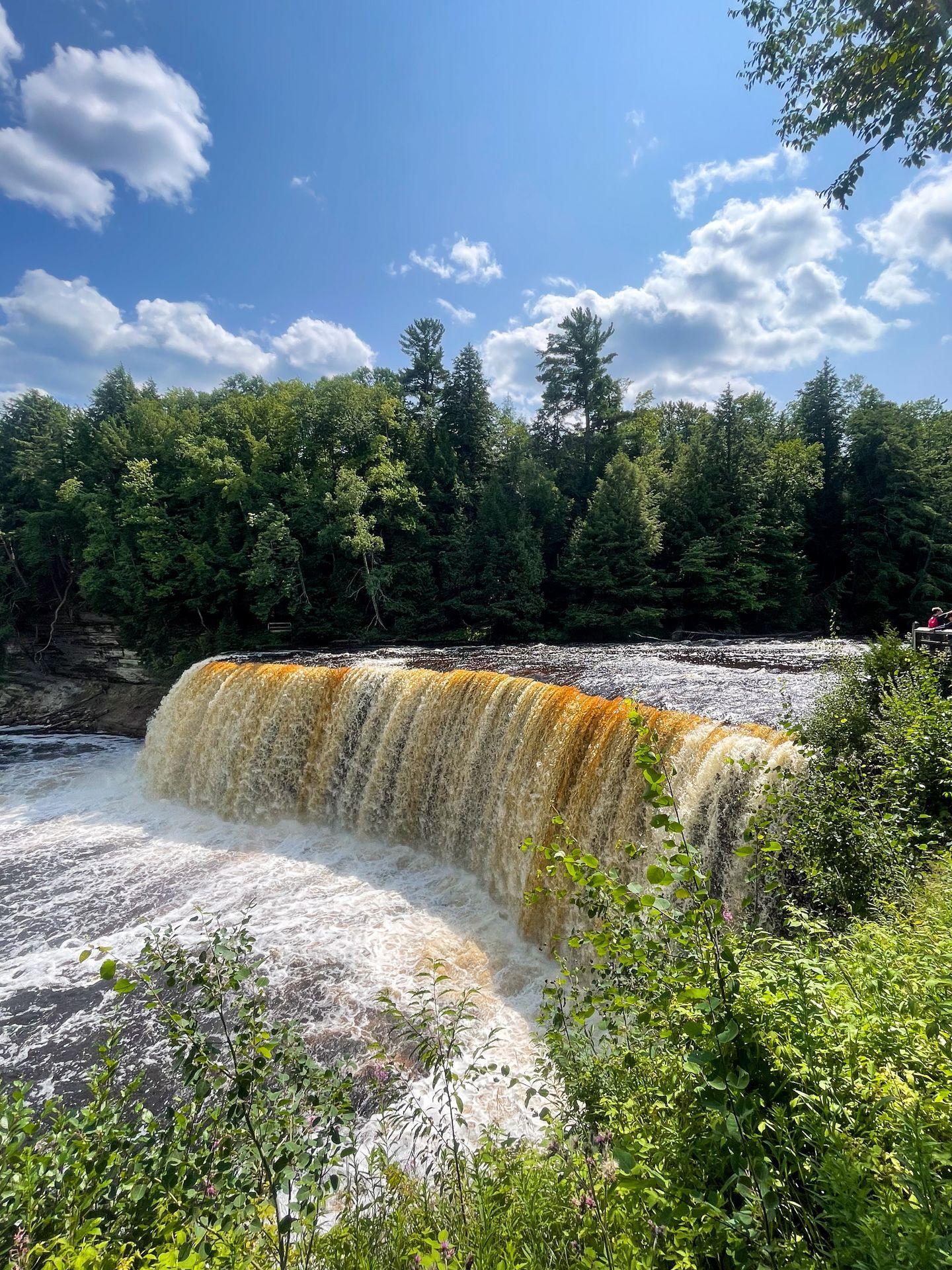 A view of Upper Falls at Tahquamenon Falls State Park. It's a tall waterfall with an amber color and there are tall trees on both sides of the river.
