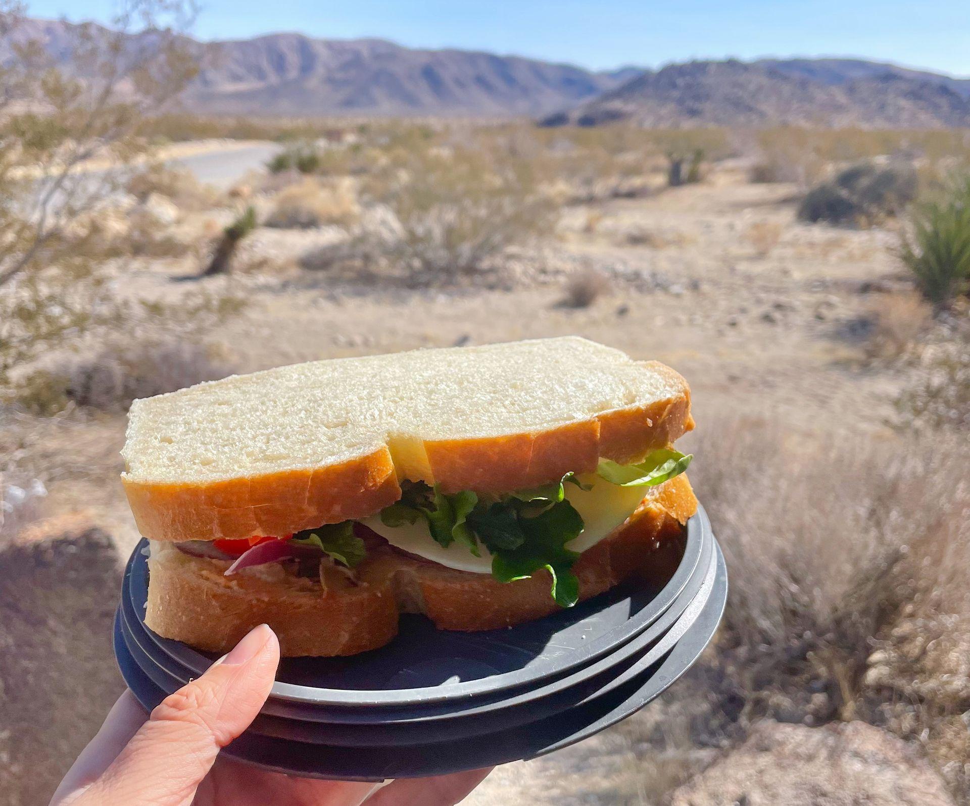 Holding up a sandwich with veggies, hummus and cheese in the desert.
