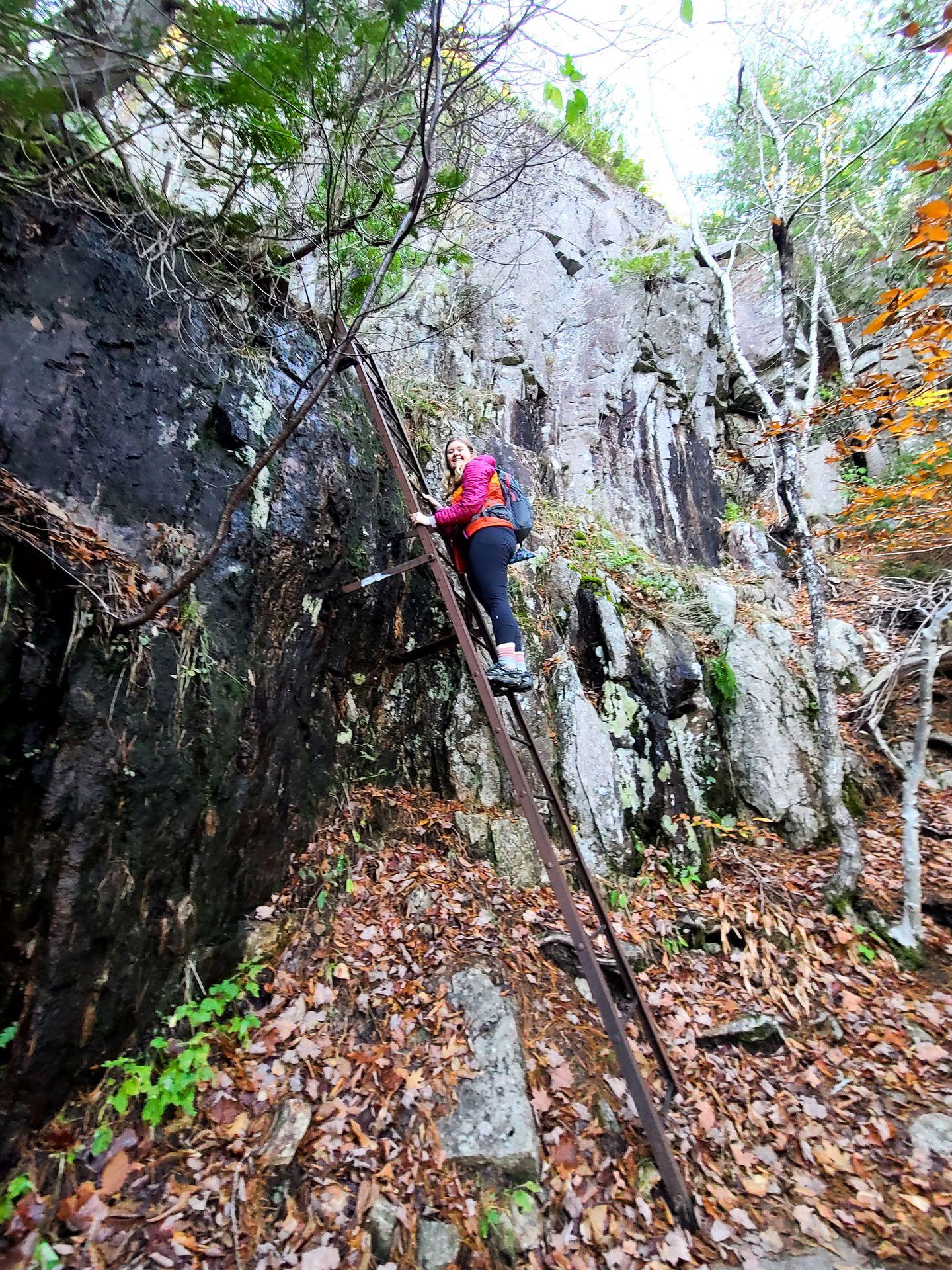 Lydia on a tall, metal ladder in Acadia National Park