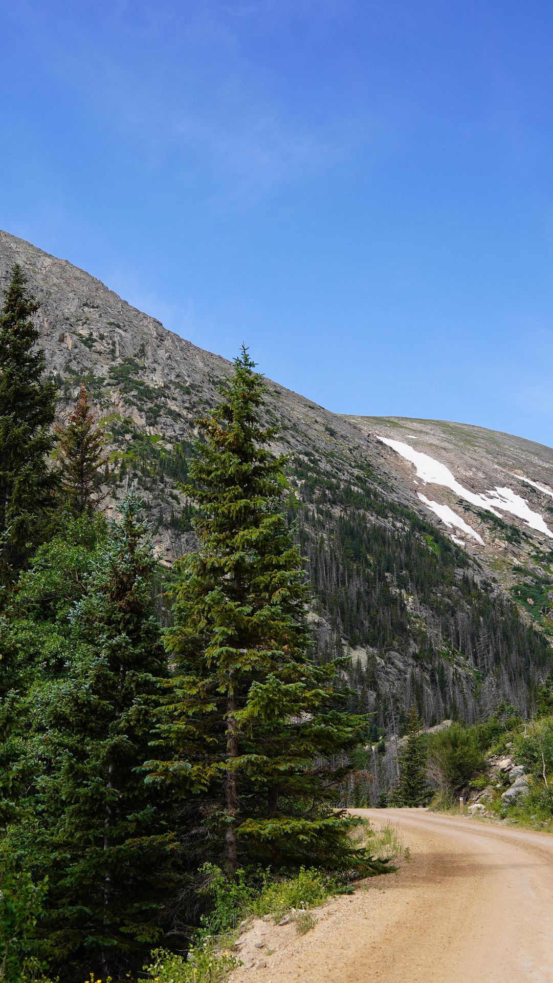 Add this scenic Rocky Mountain National Park drive to your bucket list!