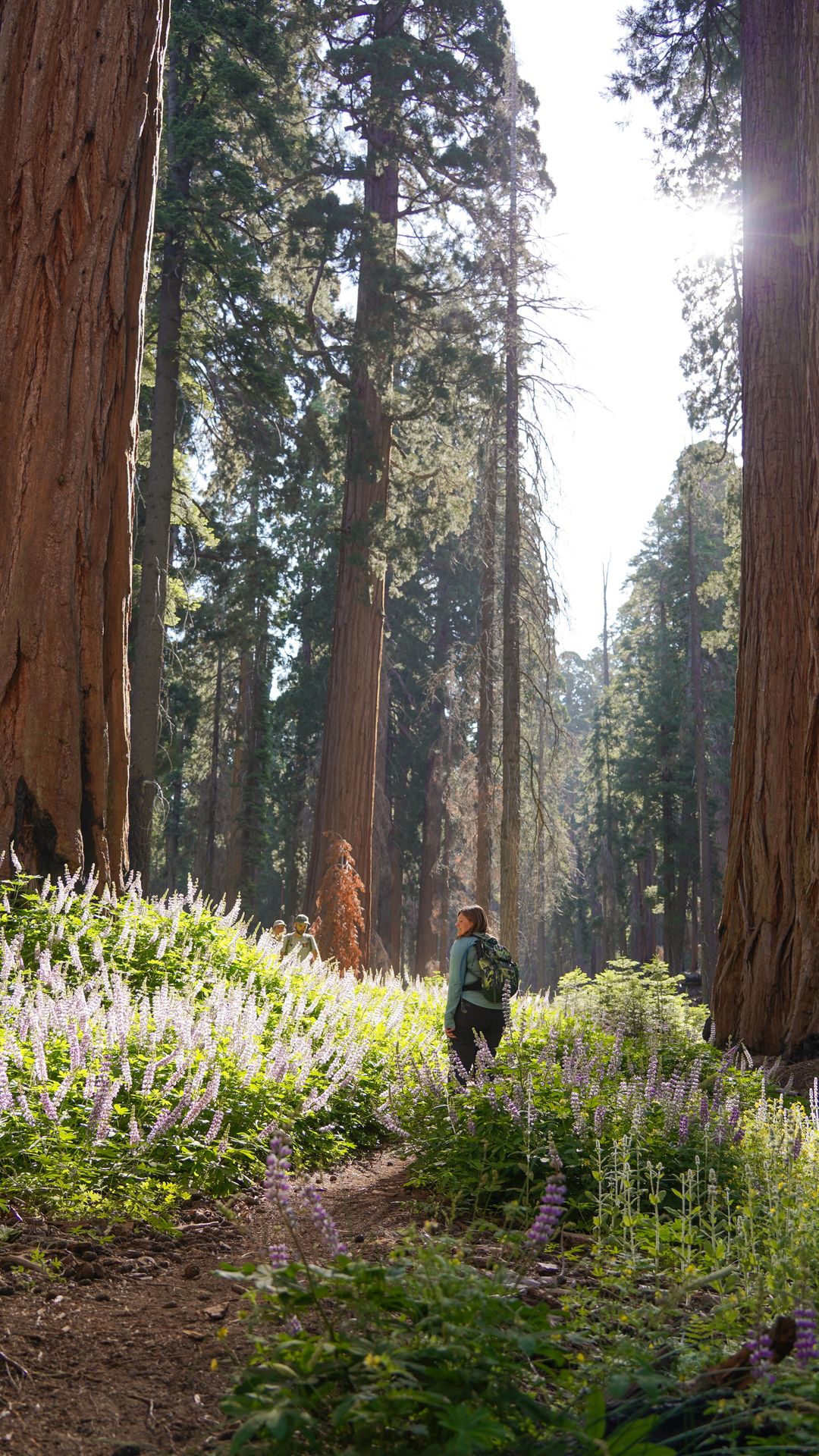 Last year, I completed my goal to hike in all 50 states. Now I’m on a mission to visit all 63 US national parks and I’m taking you along the journey! I’ve been to 51 national parks so far, and this is a series where I share a guide to visiting each one. 