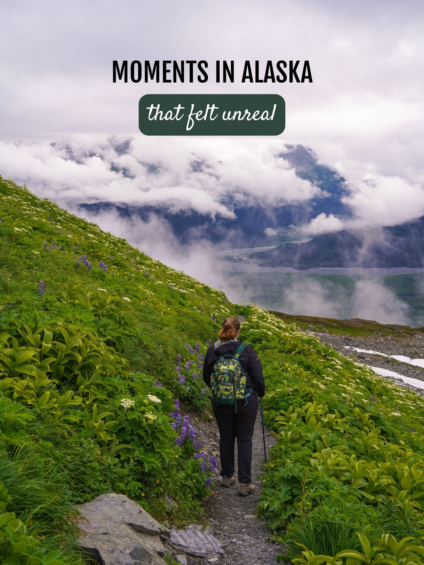 I just returned from an incredible 2.5 week trip to Alaska! 