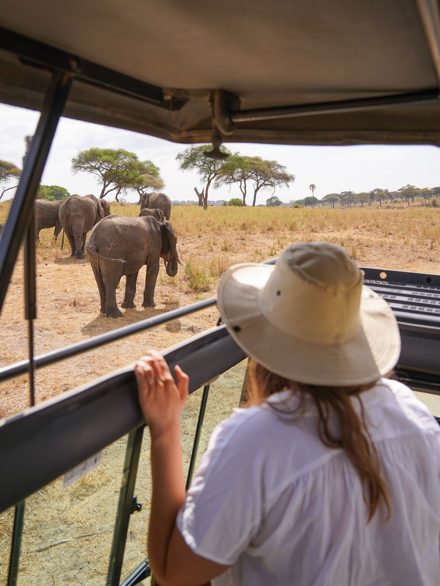 A year ago, I was on a bucket list trip in Tanzania! Here are a few shots from my safari, and some tips. 🦒🦁🦏