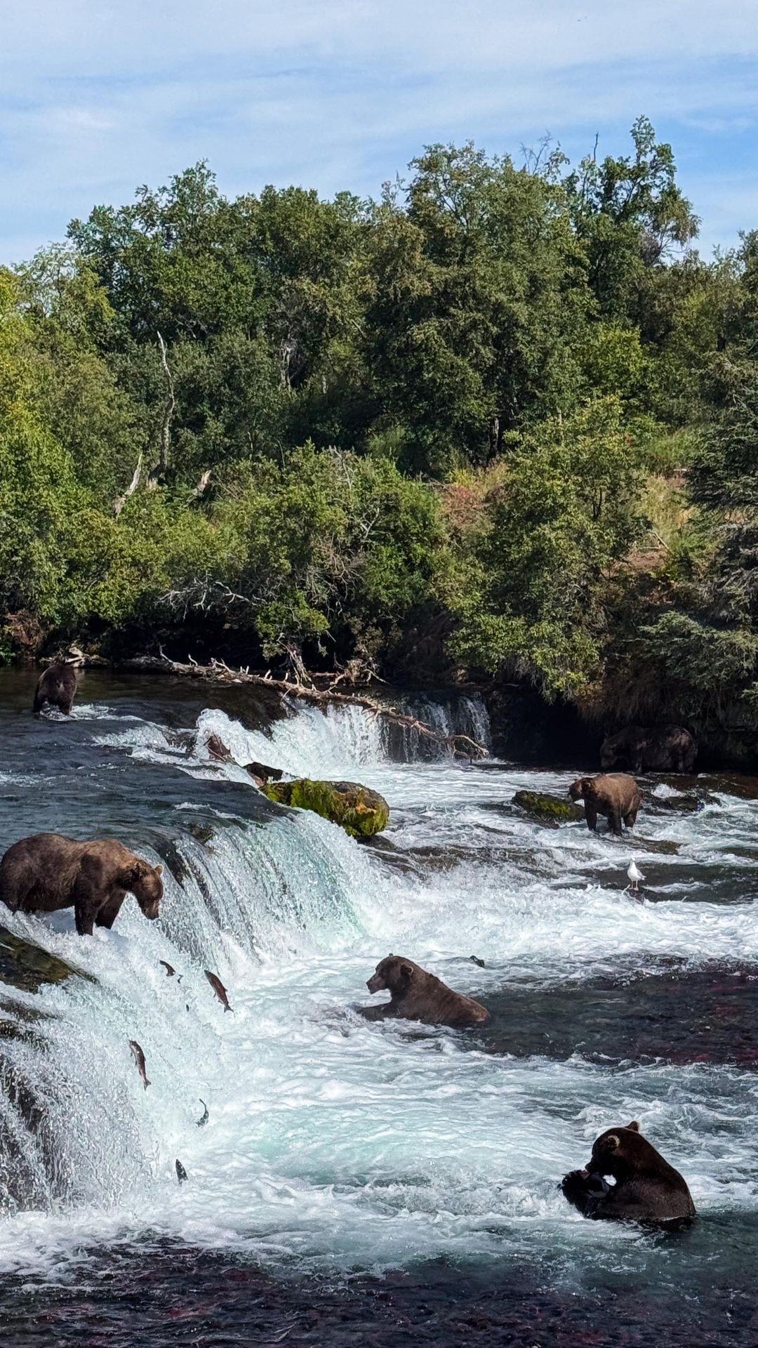 Last year, I completed my goal to hike in all 50 states. Now I’m on a mission to visit all 63 US national parks and I’m taking you along the journey! I’ve been to 56 national parks so far, and this is a series where I share a guide to visiting each one. 