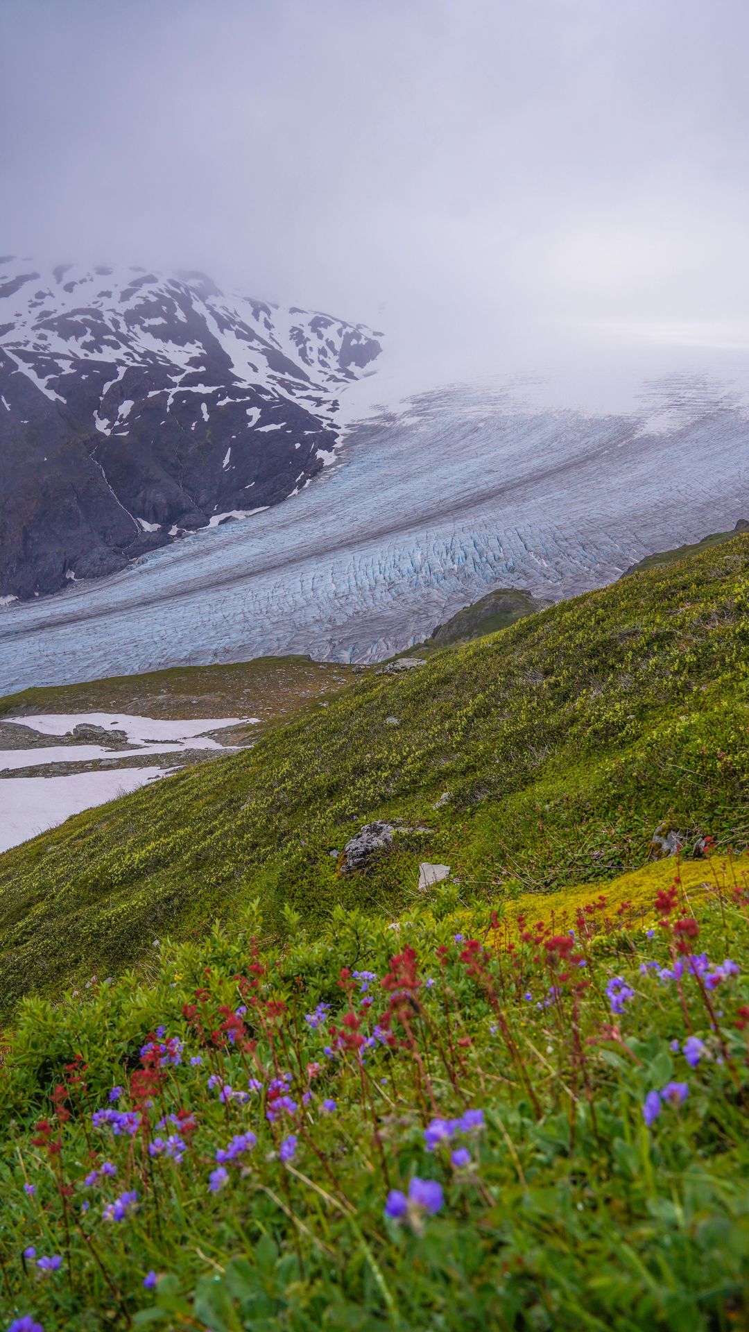 A guide to each US national park - part 14 - Kenai Fjords National Park, AK 🐋🧊