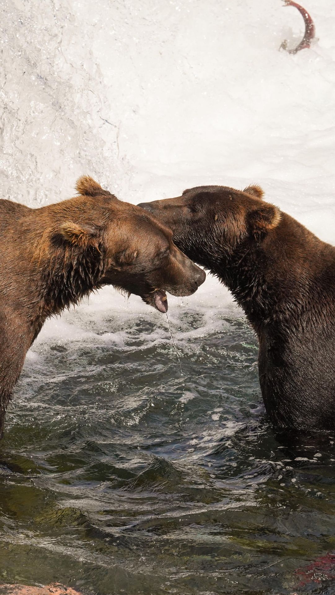 This was easily one of my best memories from 2025!