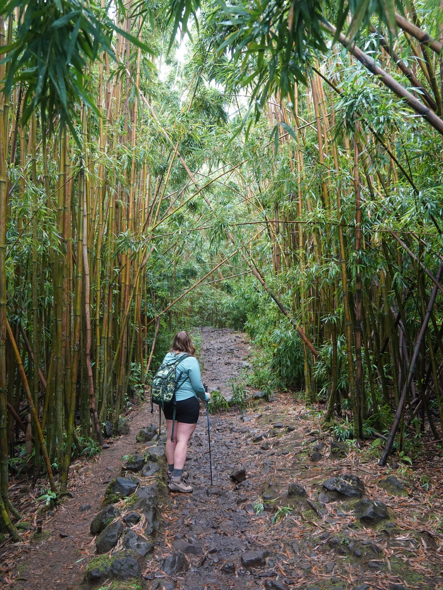 ✨Scenes from Maui, Hawaii ✨