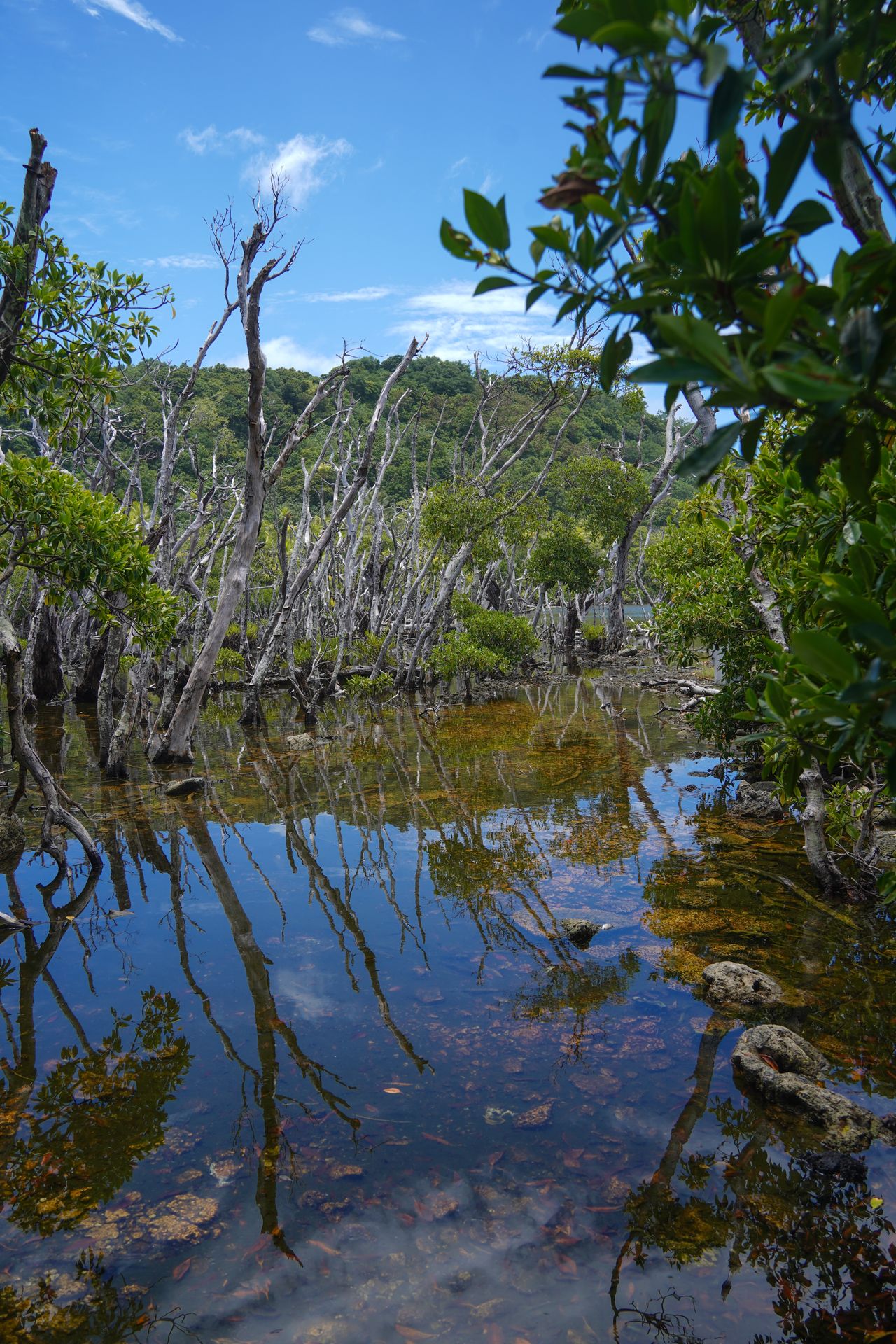 A lake on Aunu'u Island