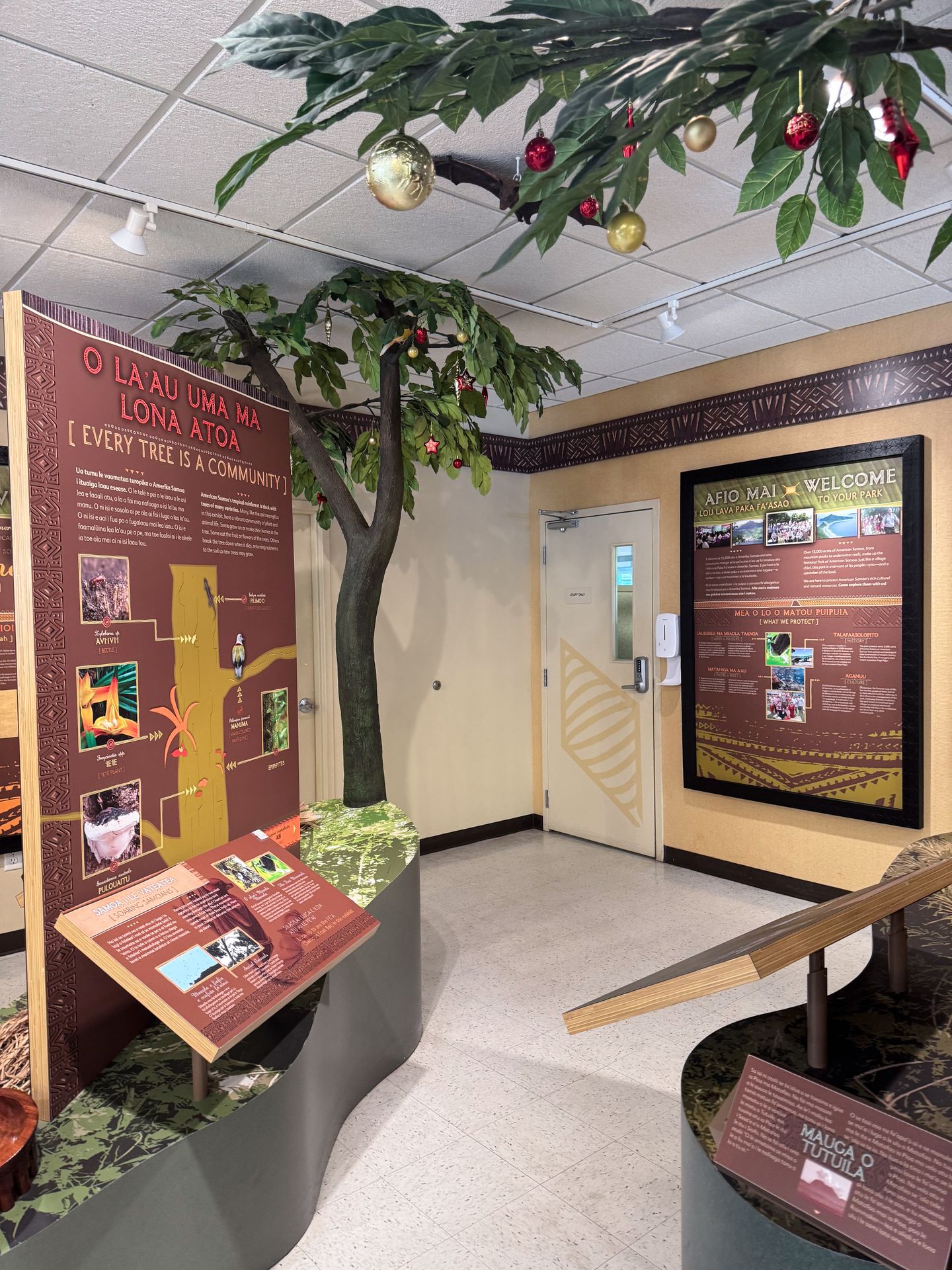Exhibits in the visitor center that talk about the plantlife in American Samoa