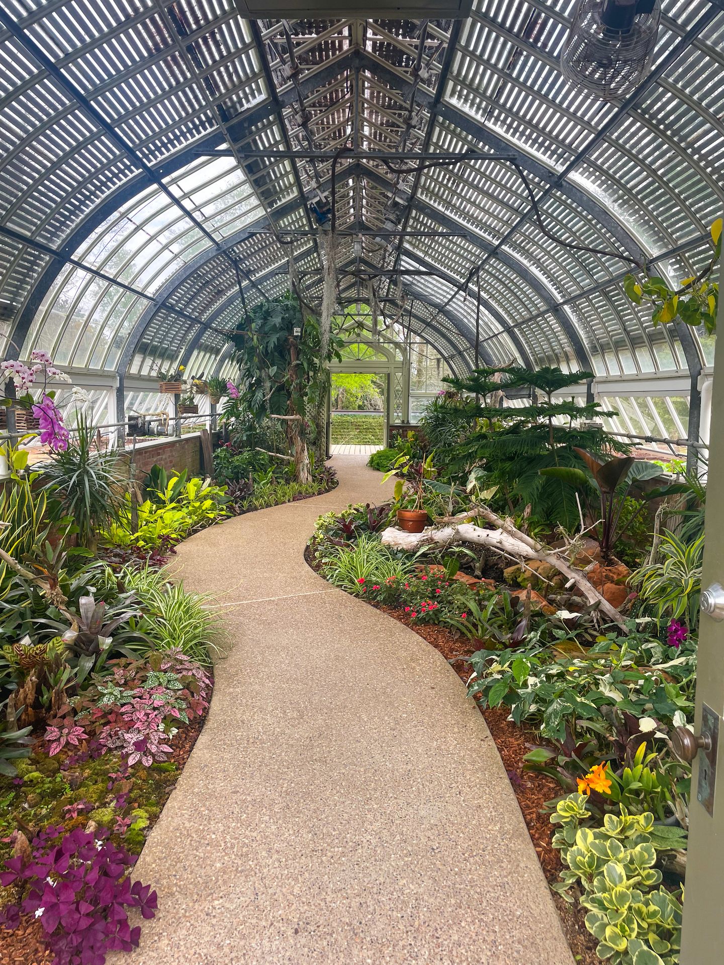 A pathway surrounded by flowers and greenery inside of a greenhouse at the Shangri La Botanical Gardens