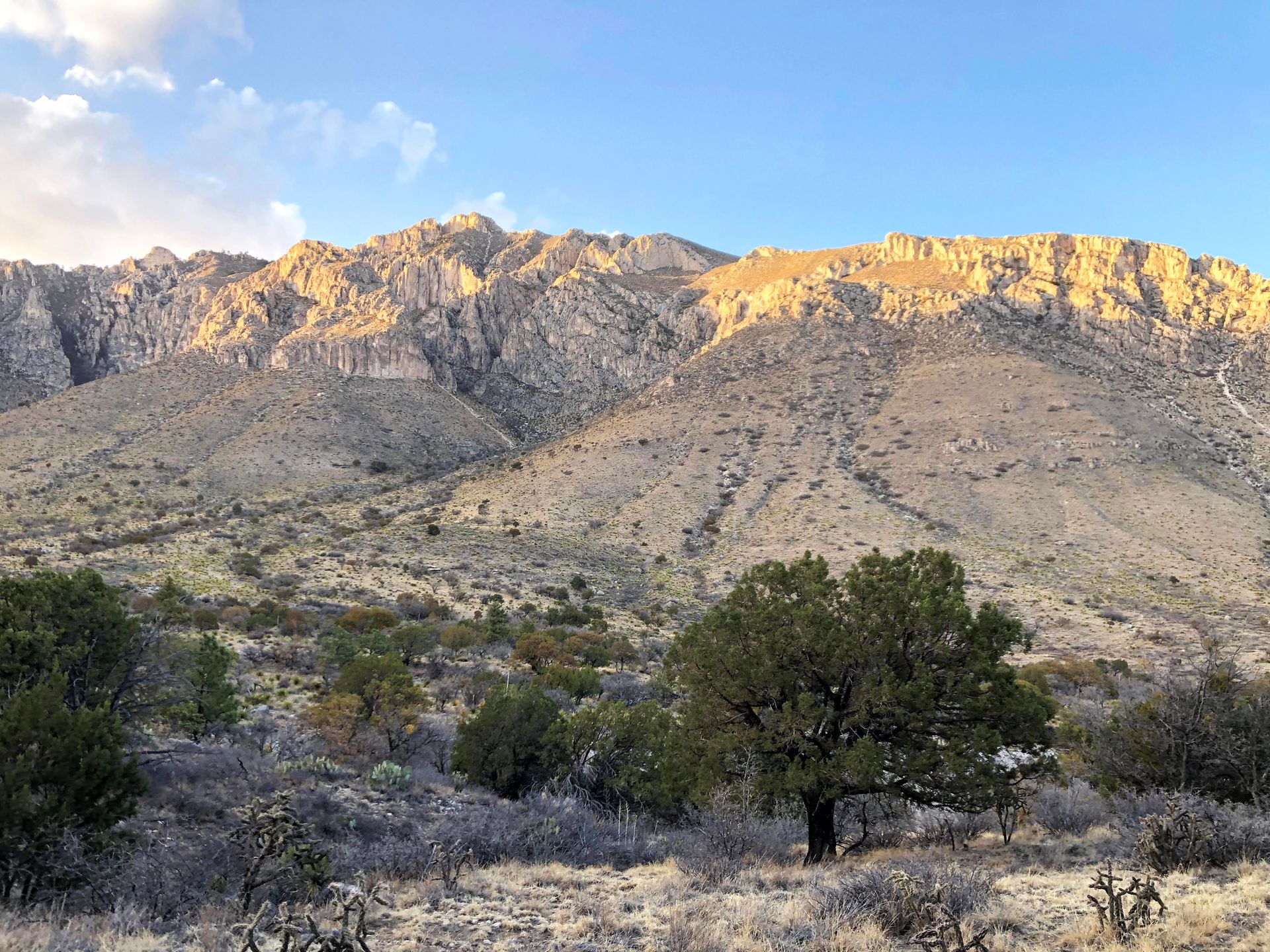 Looking up at mountain peaks that a lit in golden light at the top on the Devil's Hall trail