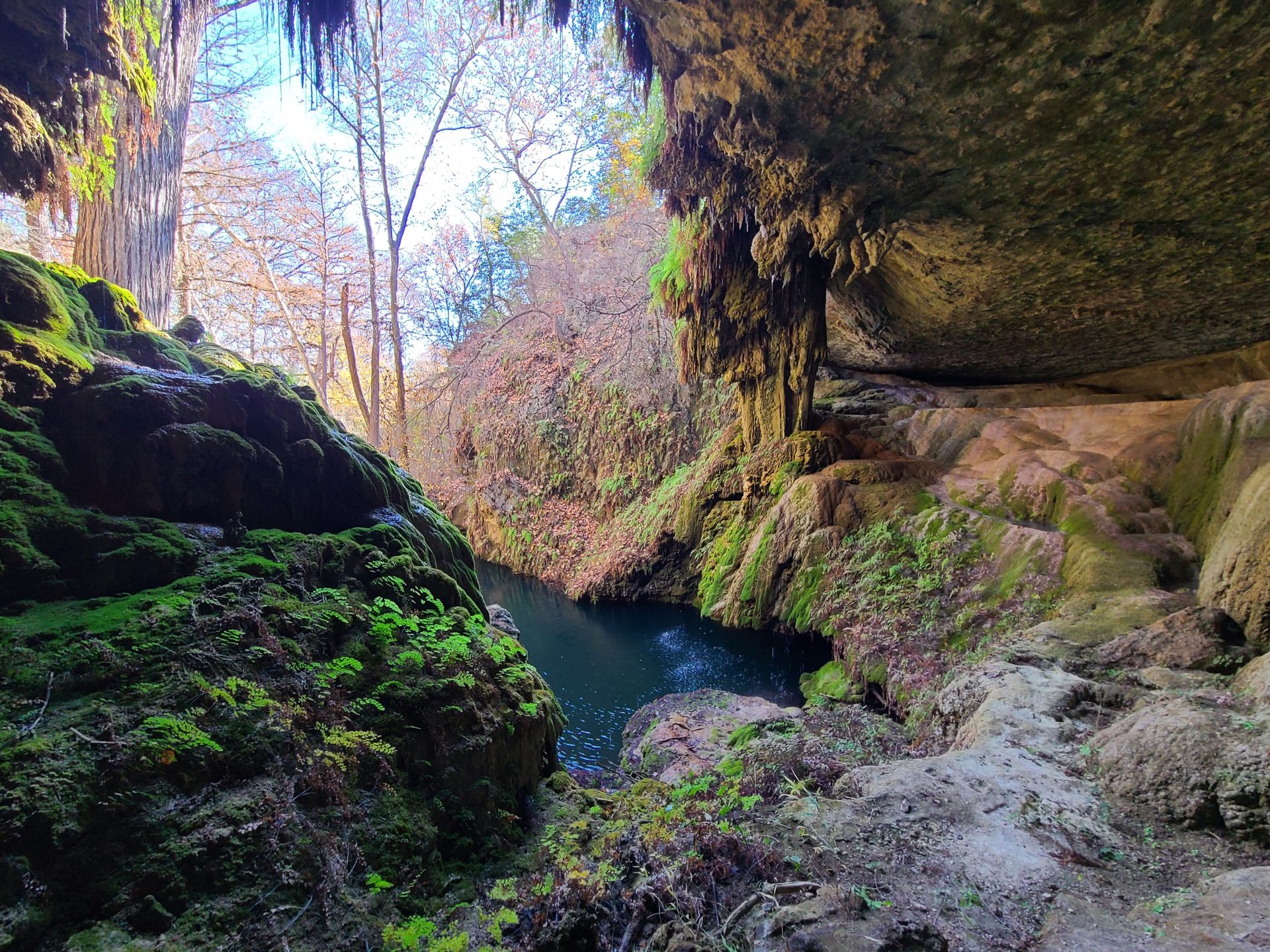 A grotto with a pool of water and green moss at West Cave Outdoor Discovery Center.