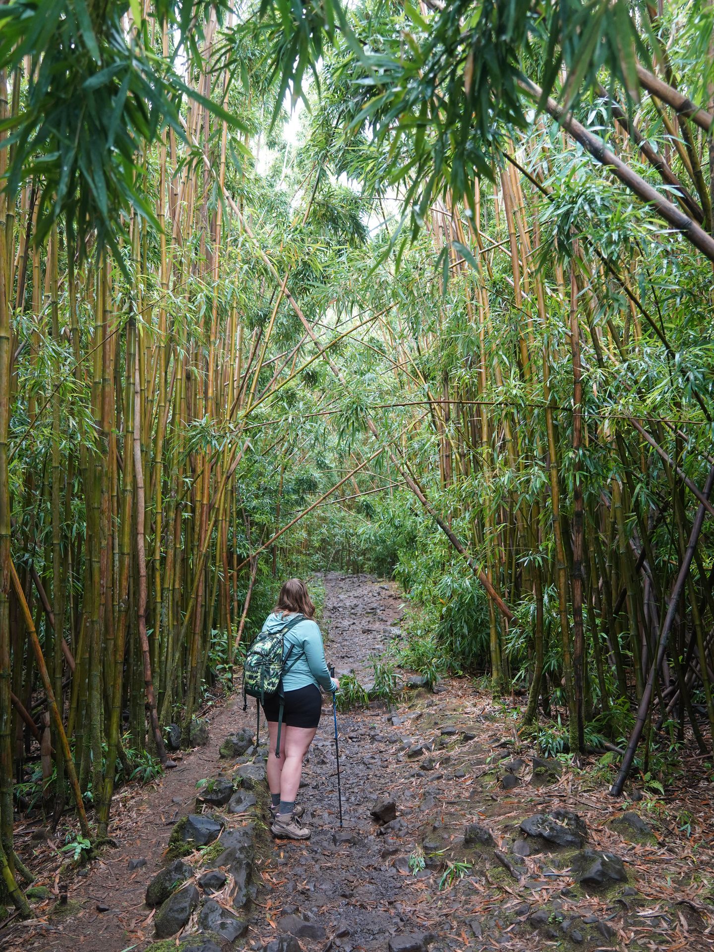 Lydia standing on a trail that is surrounded by tall bamboo on the Pipiwai Trail on the way to Waimoku Falls