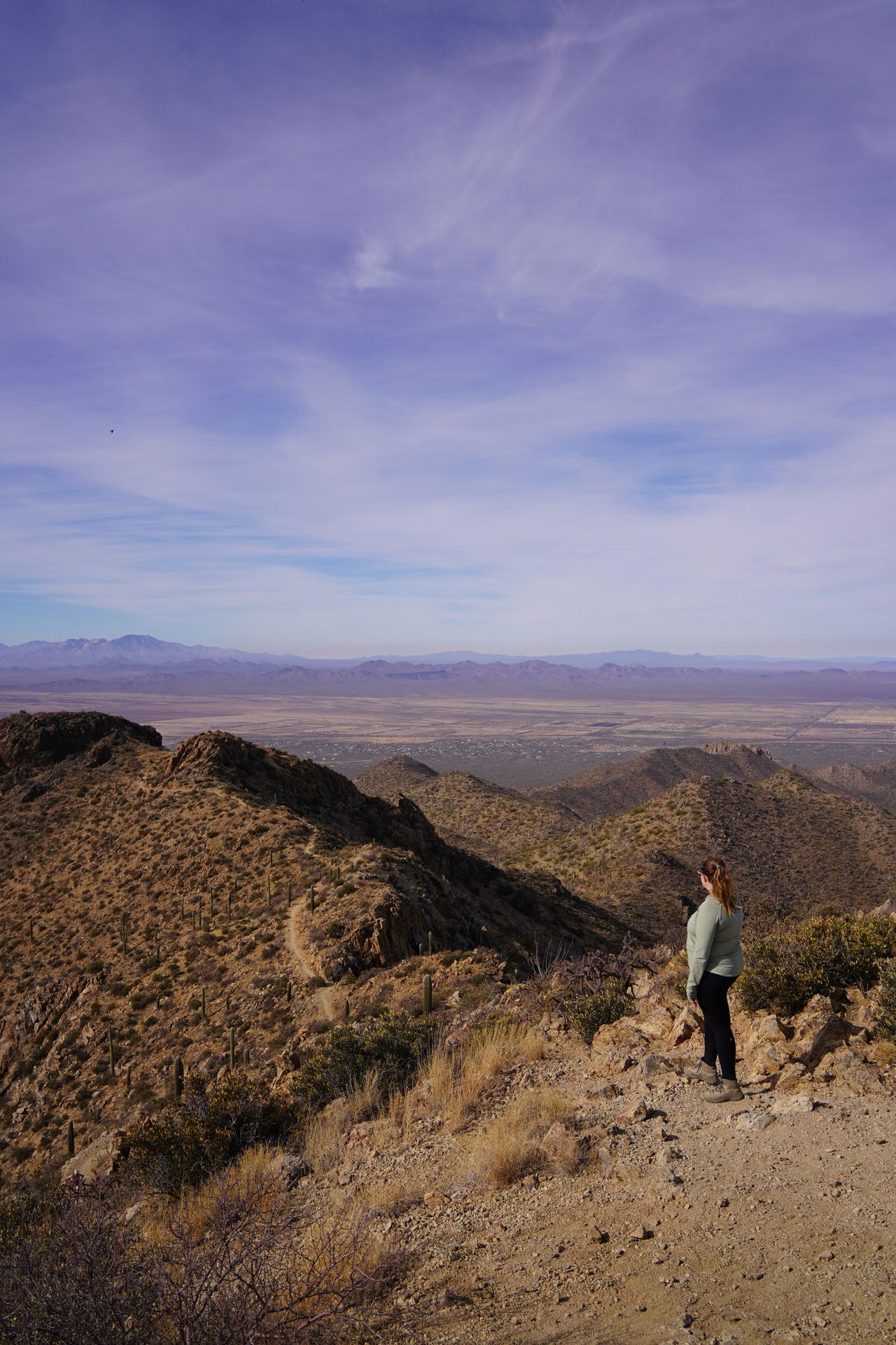 Lydia at the top of Wasson Peak in the West Side of Saguaro National Park