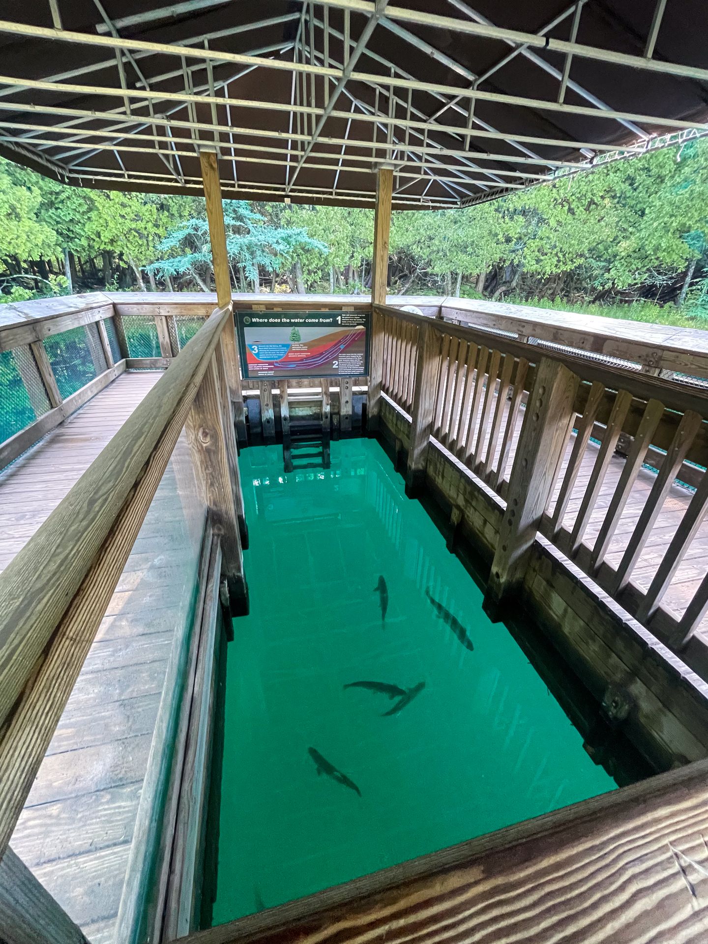 The center the raft at Kitch-iti-kipi, which is open. You can see fish swimming around in the aqua-colored water