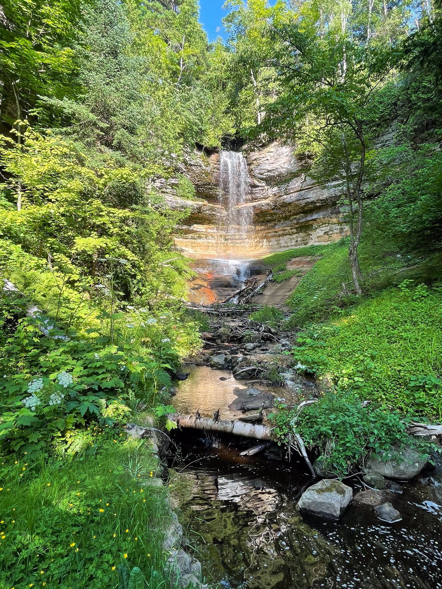 Looking up a waterfall surrounded by green trees.