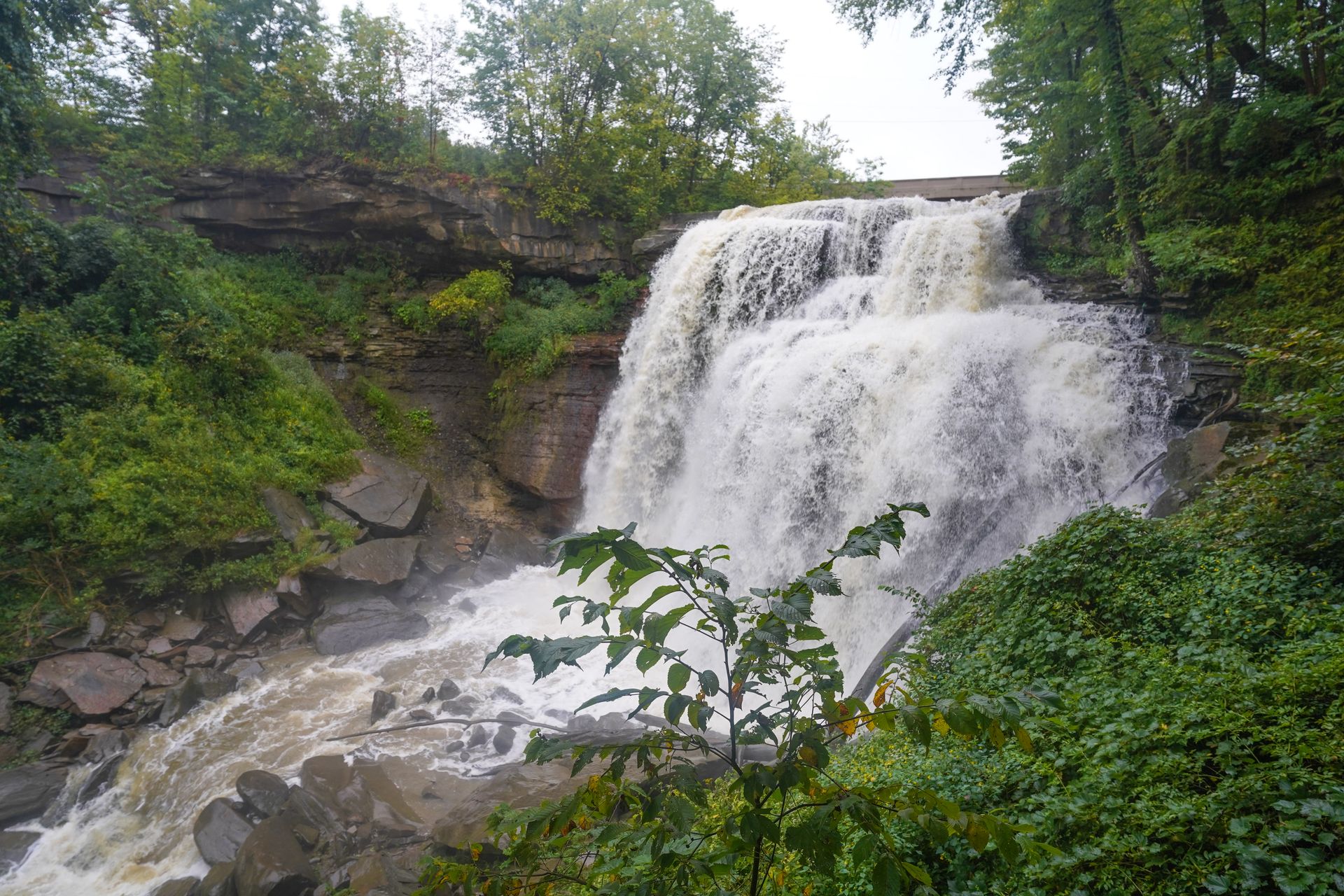 A view of Brandwine Falls with the water flowing strongly.