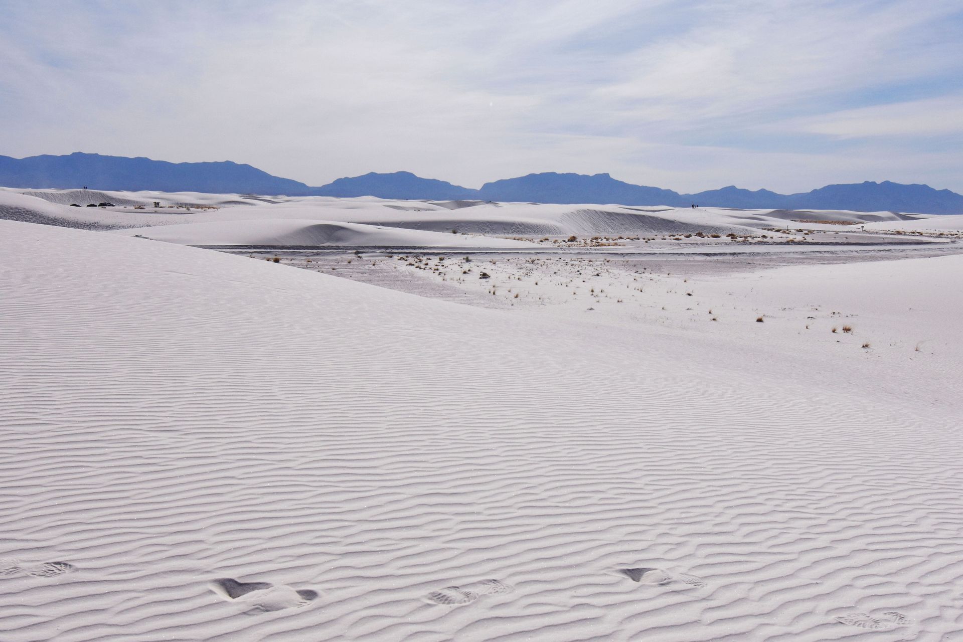 An expansive view of white dunes inside of White Sands.