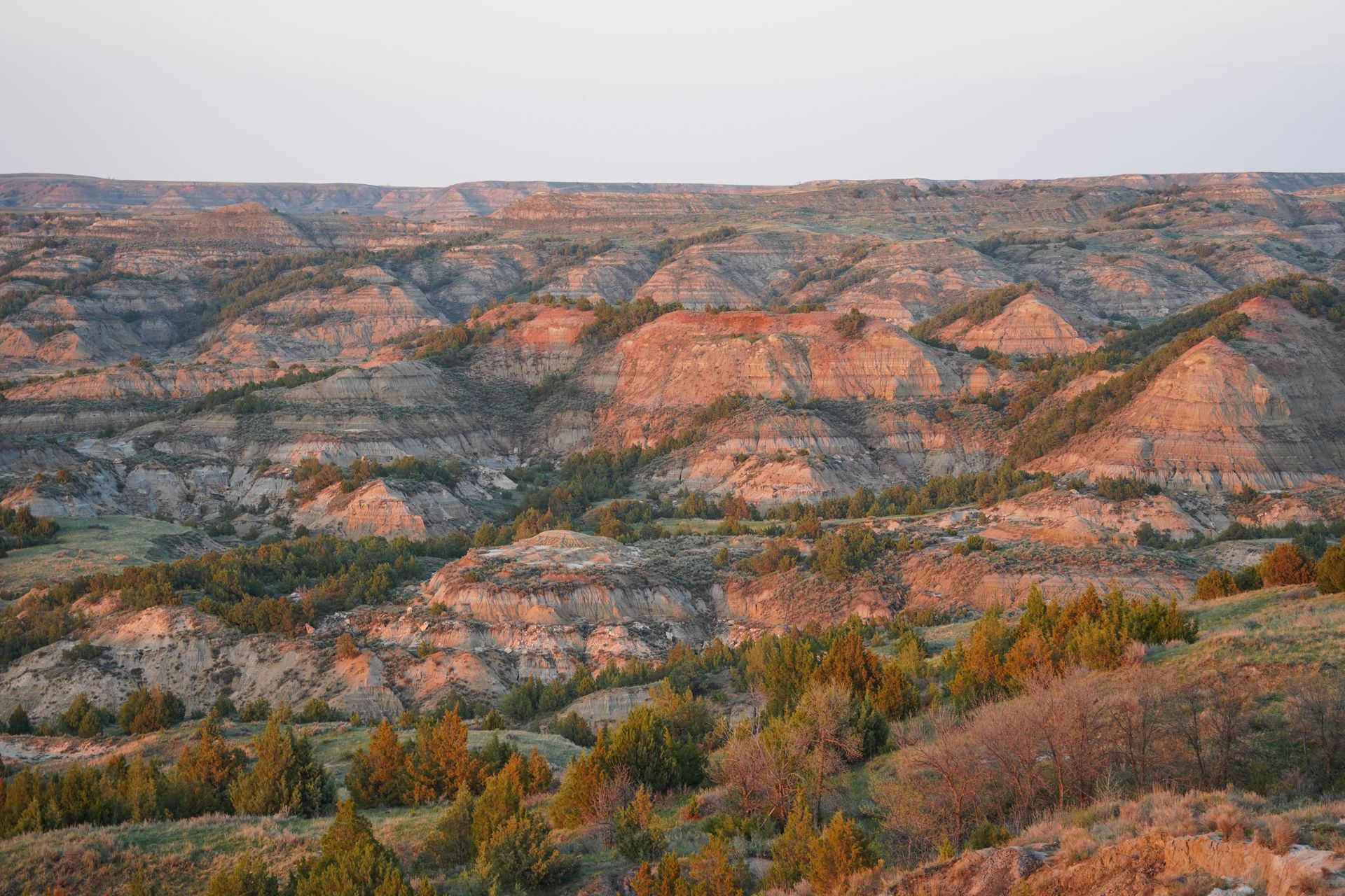 A series of striped rocks glowing pink at sunset