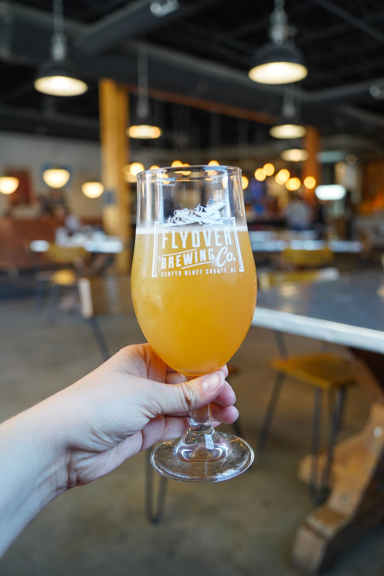 Holding up a glass of beer inside Flyover Brewing Company