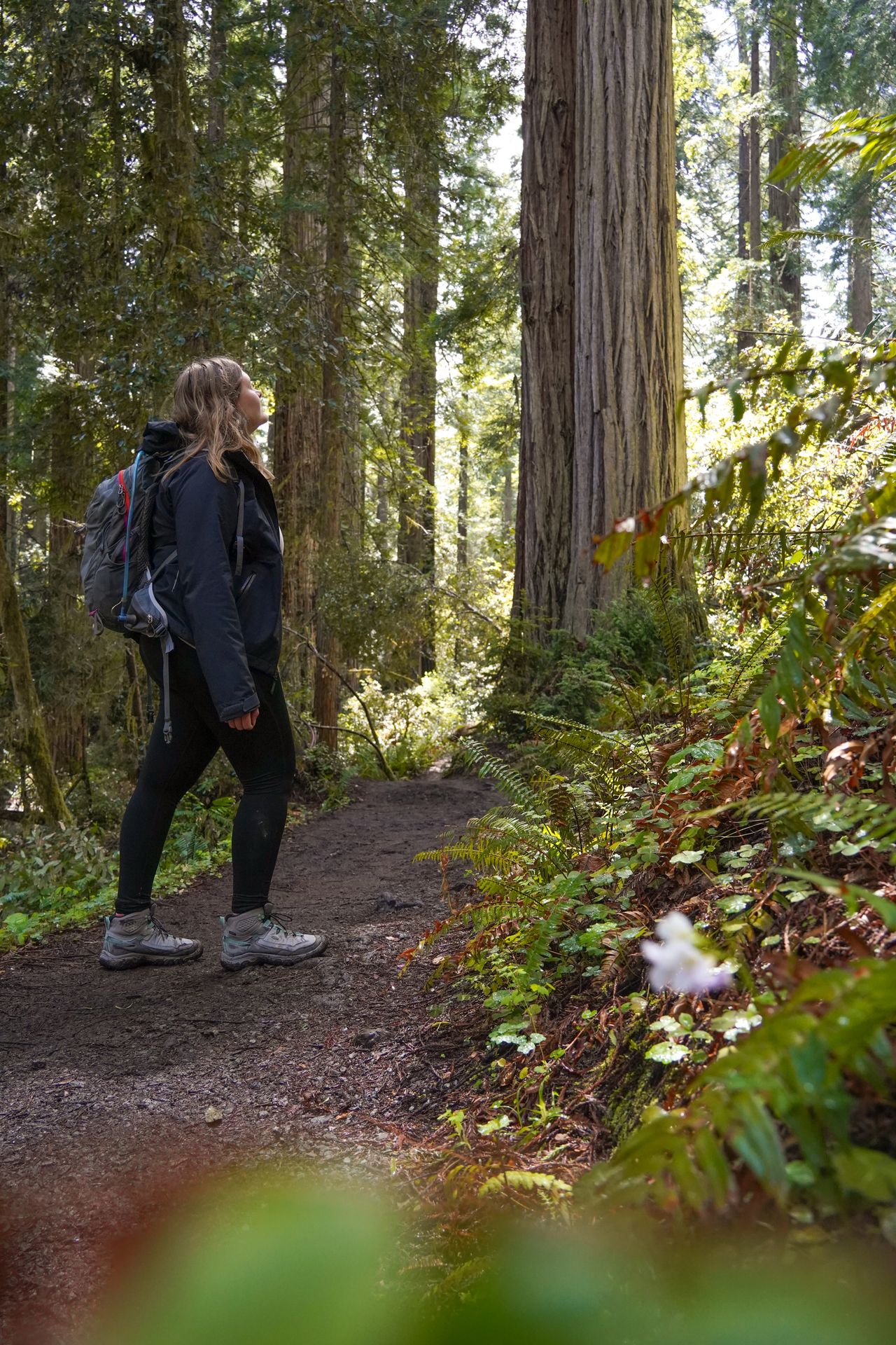 Lydia looking up at large trees on the Lady Bird Johnson Loop
