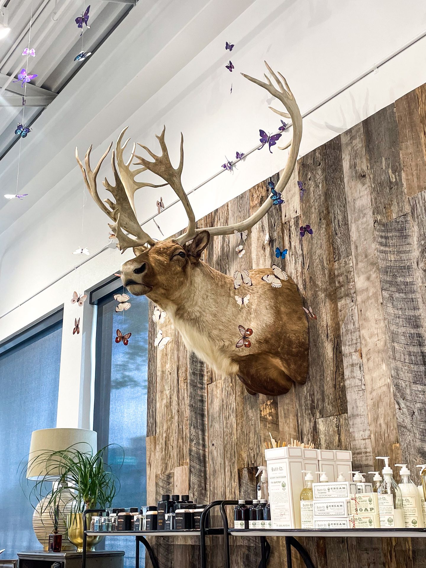 A moose head with butterflies on a garland.