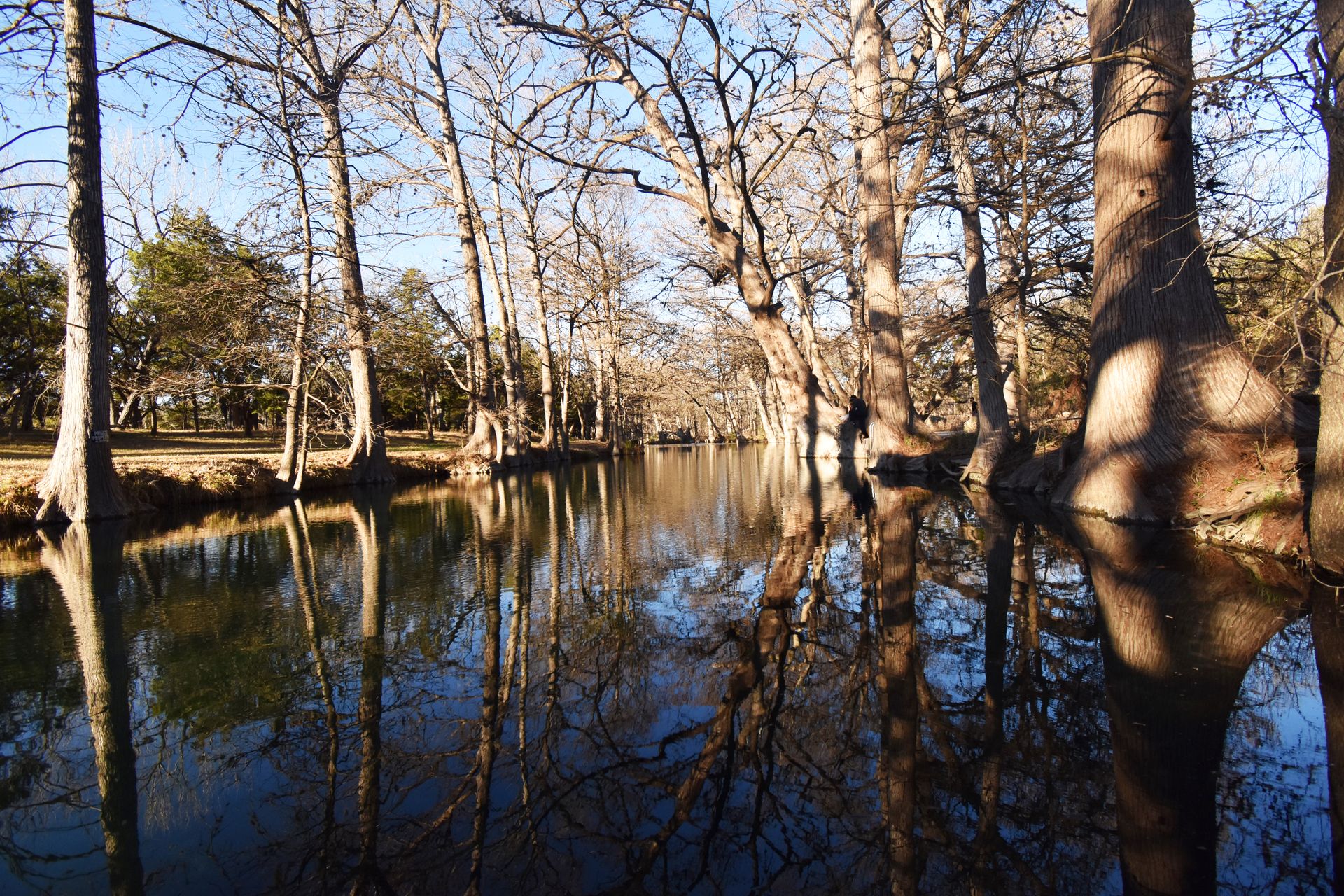 A blue river with a reflection of tall cypress trees framing each side of the water.
