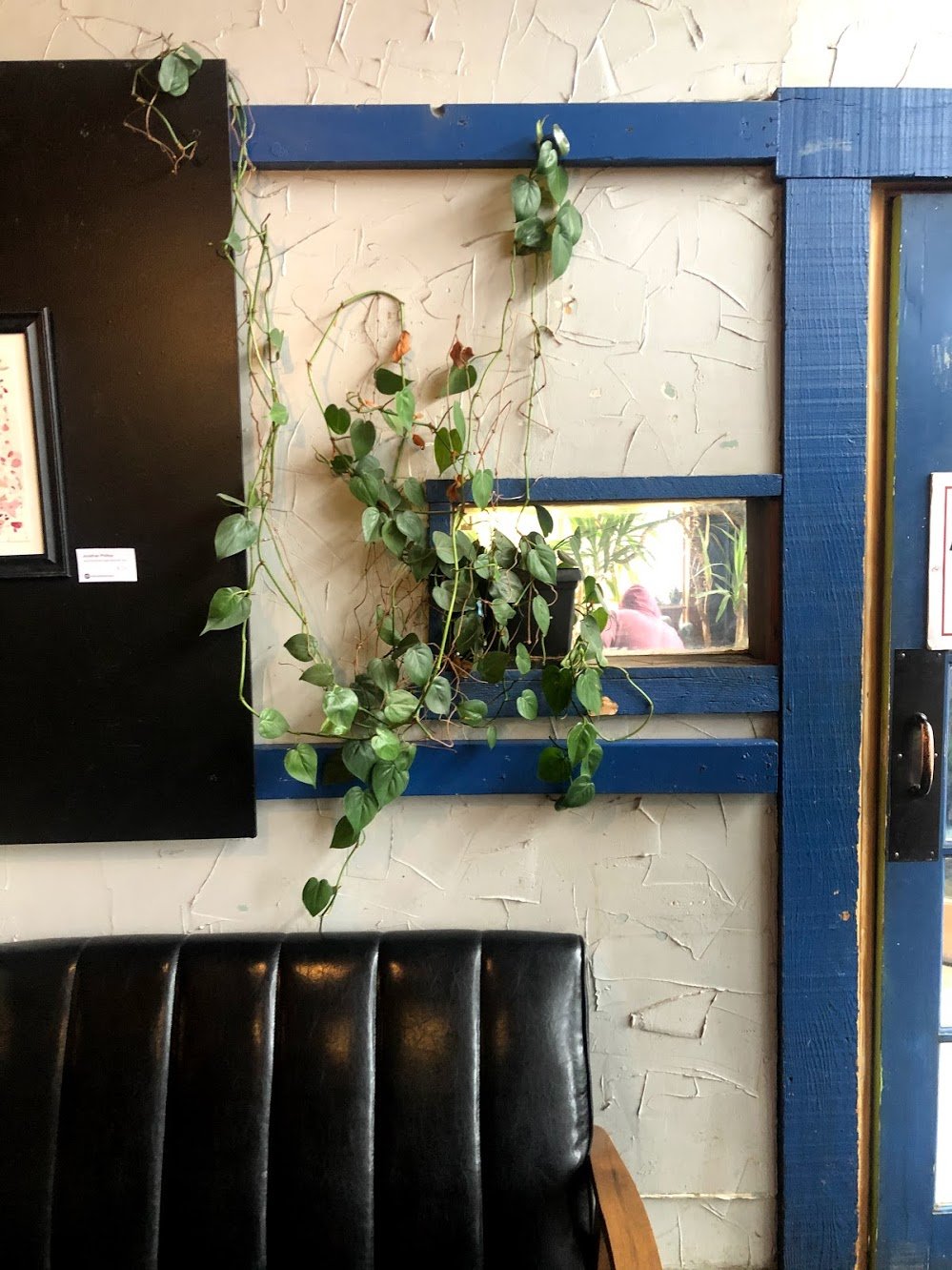 A wall in 806 Coffee + Lounge with blue room, hanging greenery and a black couch.