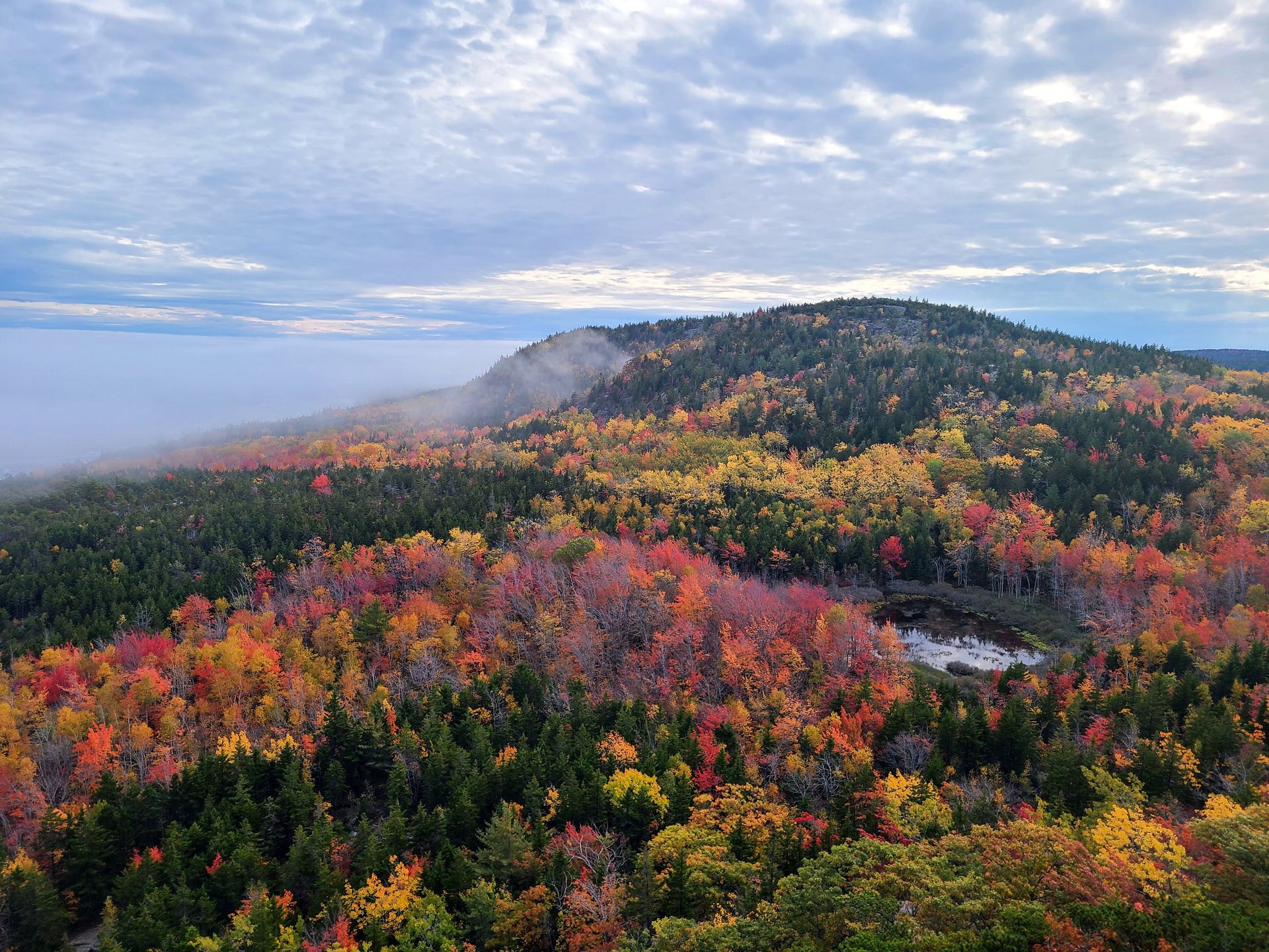 A hill with fall foliage seen from the Beehive in Acadia National Park