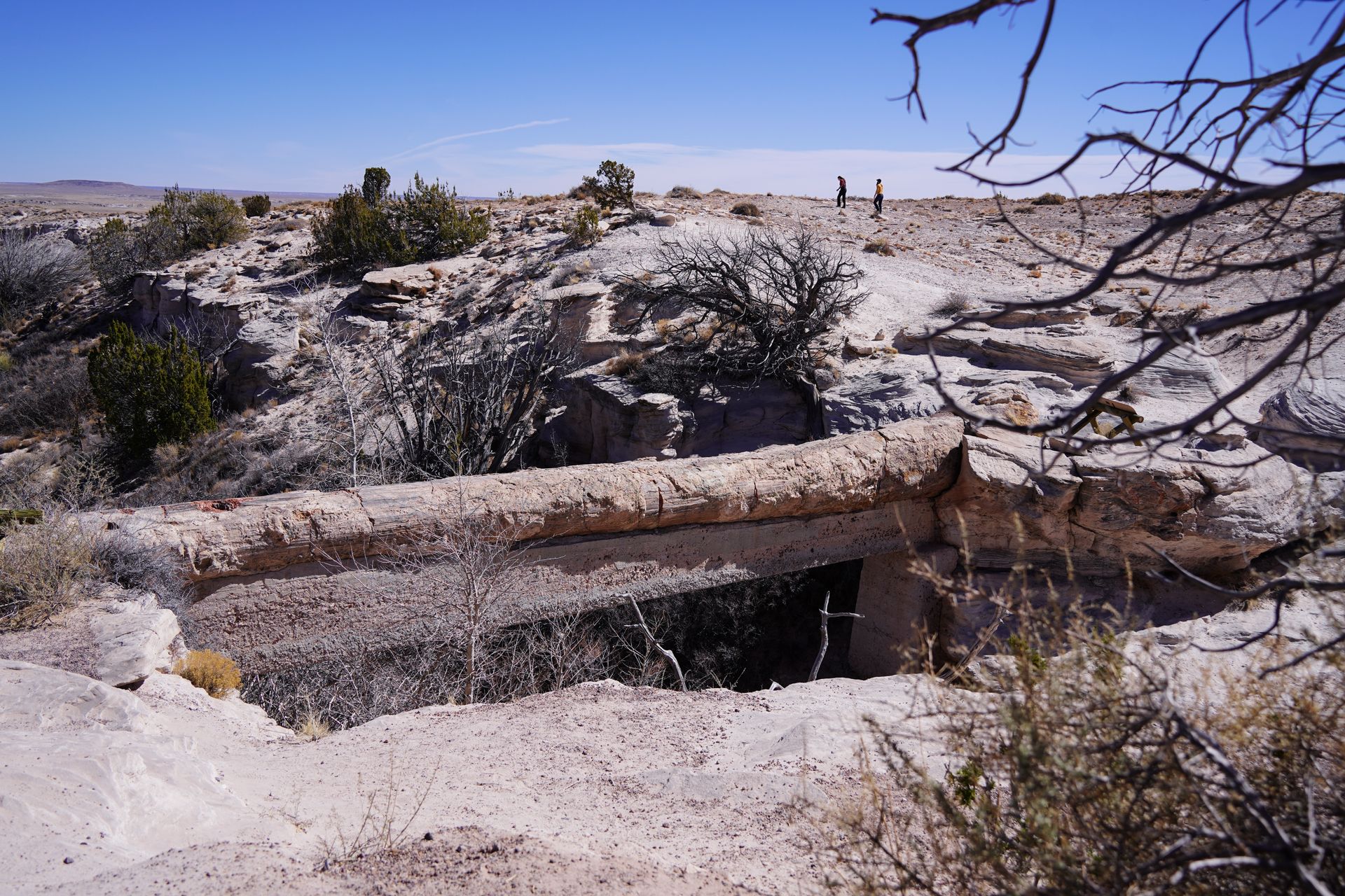 A long long hanging over a gully, with a large piece of concrete right below it