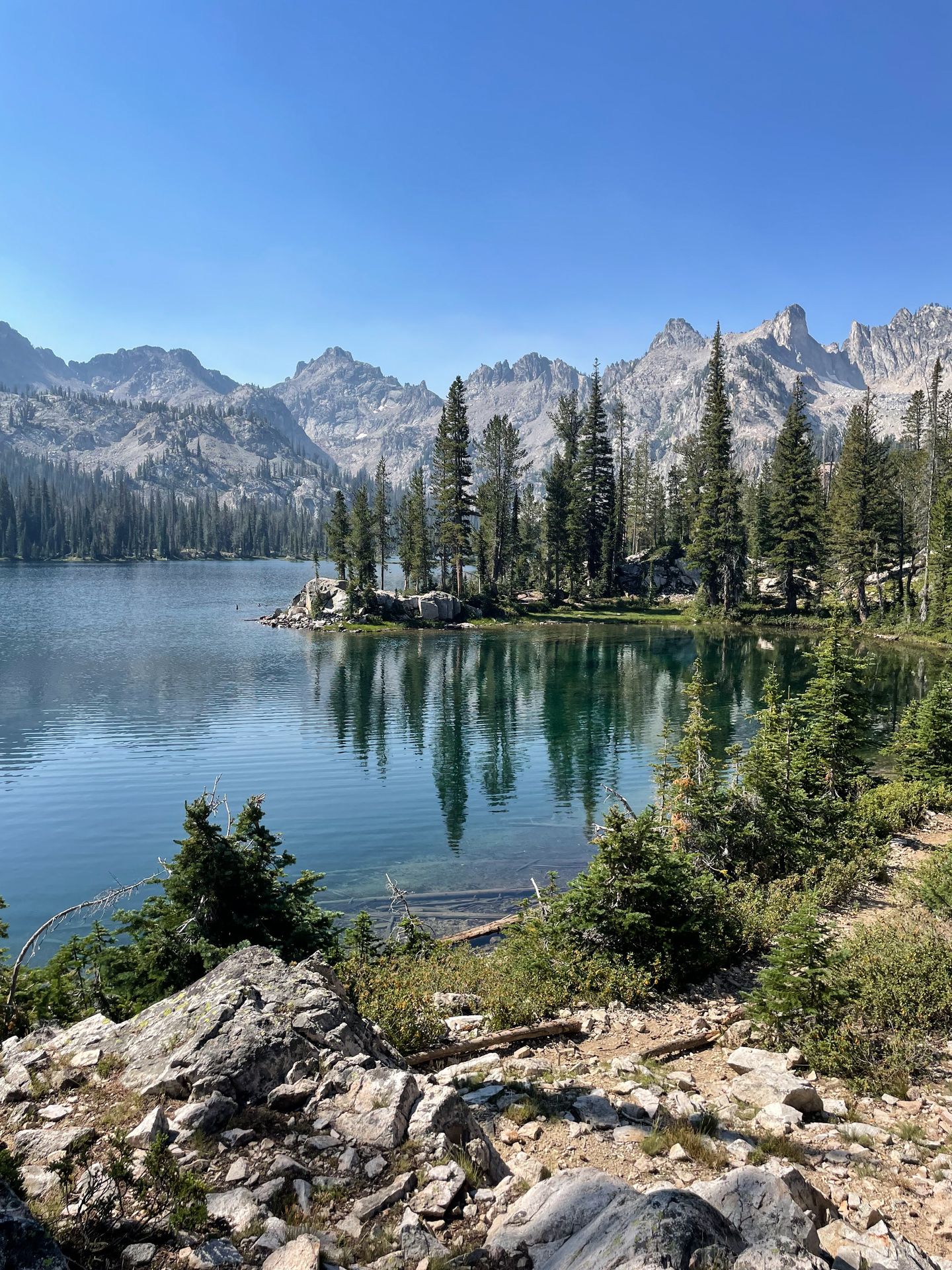 The shoreline of Alice Lake, which includes some tall trees.