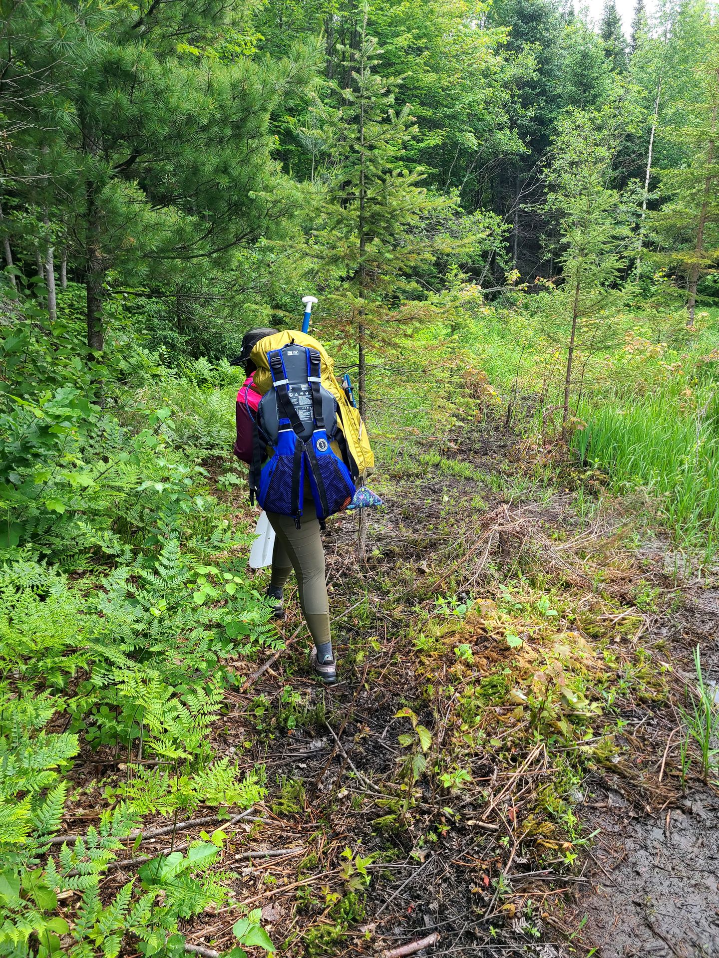 Lydia hiking through an overgrown area with a lifejacket attached to her backpack