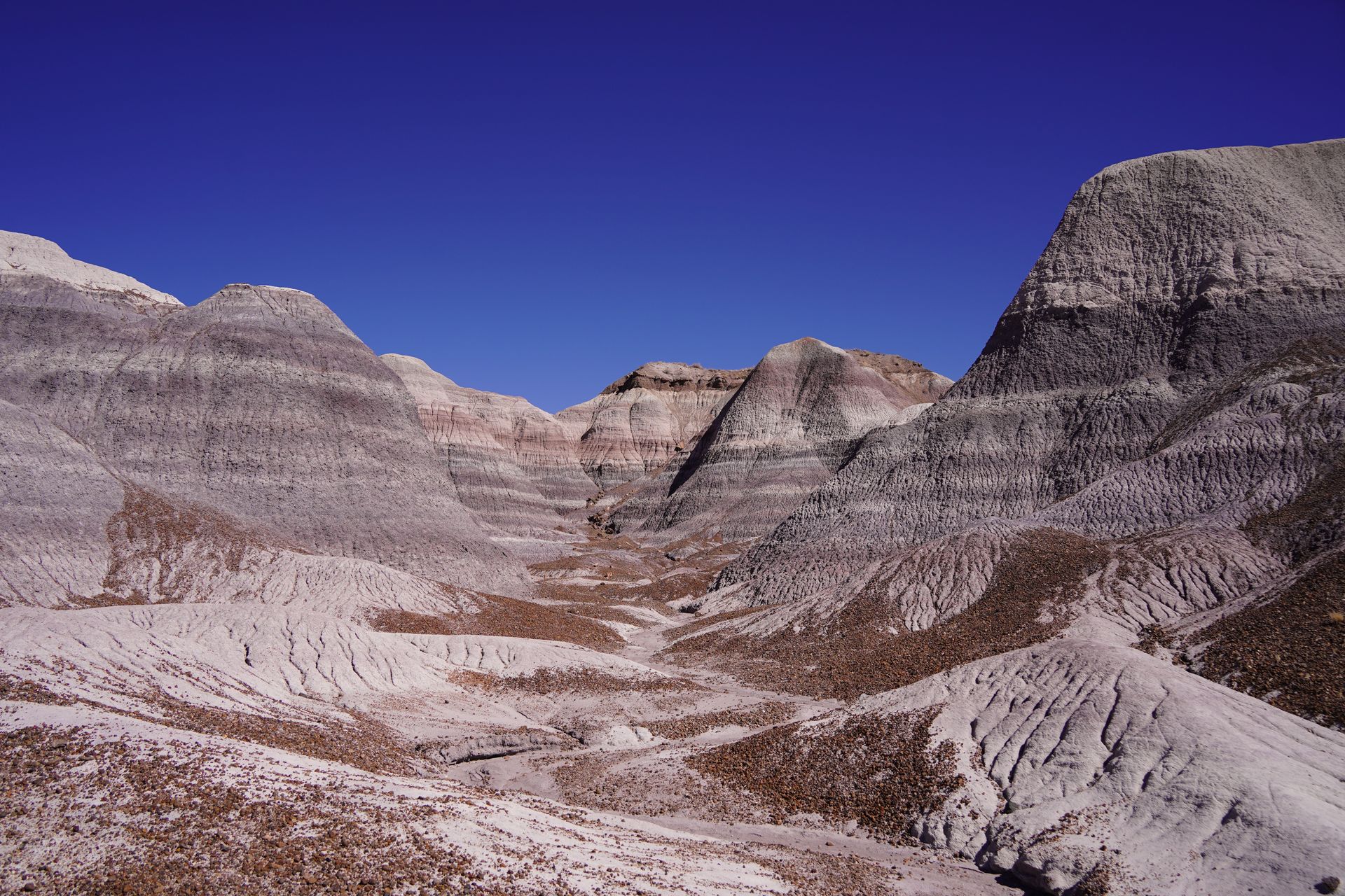 A view of striped badland formations at Petrified Forest National Park