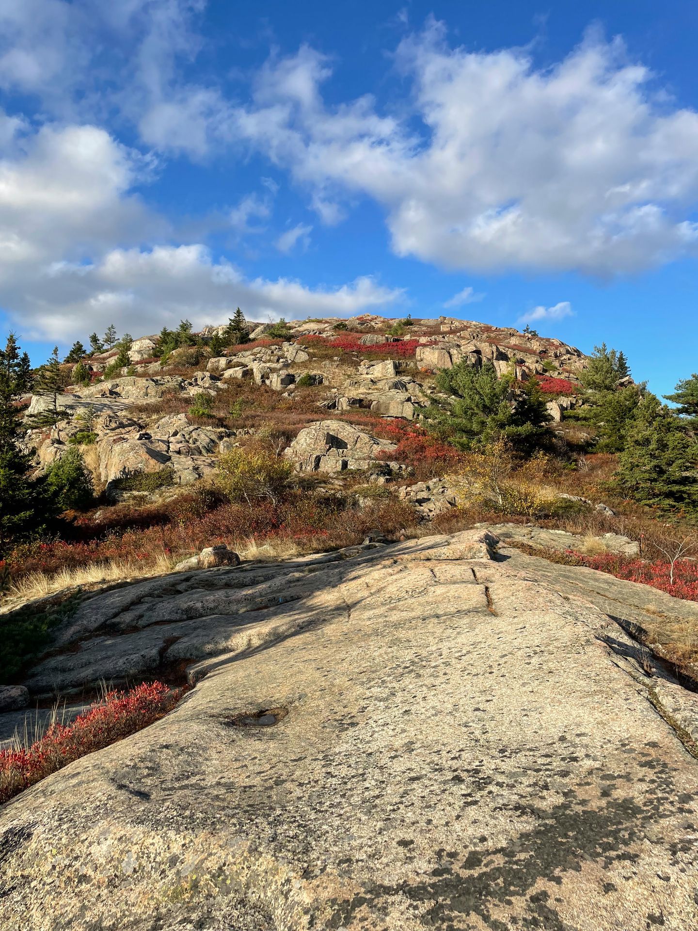 Looking up at the peak of Bald Mountain