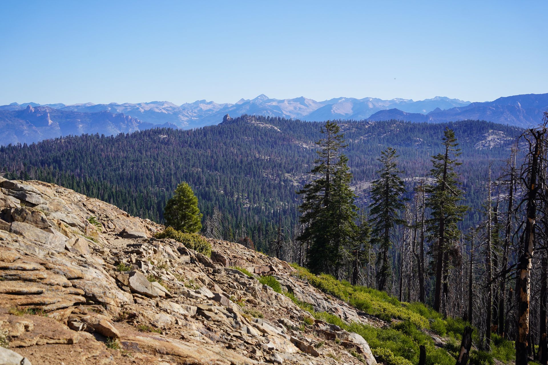 Looking out at mountains from the Big Baldy Peak in Kings Canyon