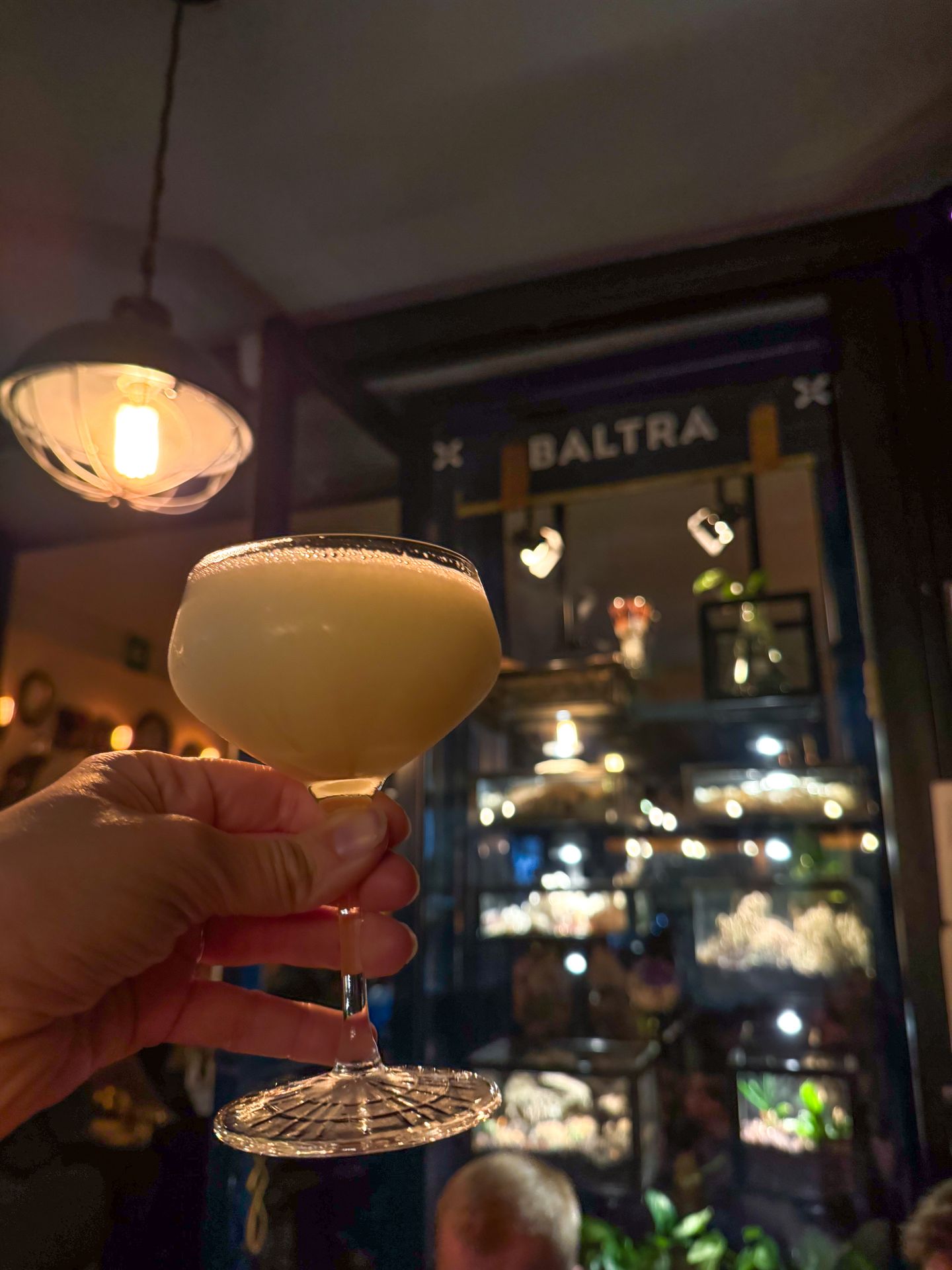 Holding up a lemon cocktail in front of Baltra Bar