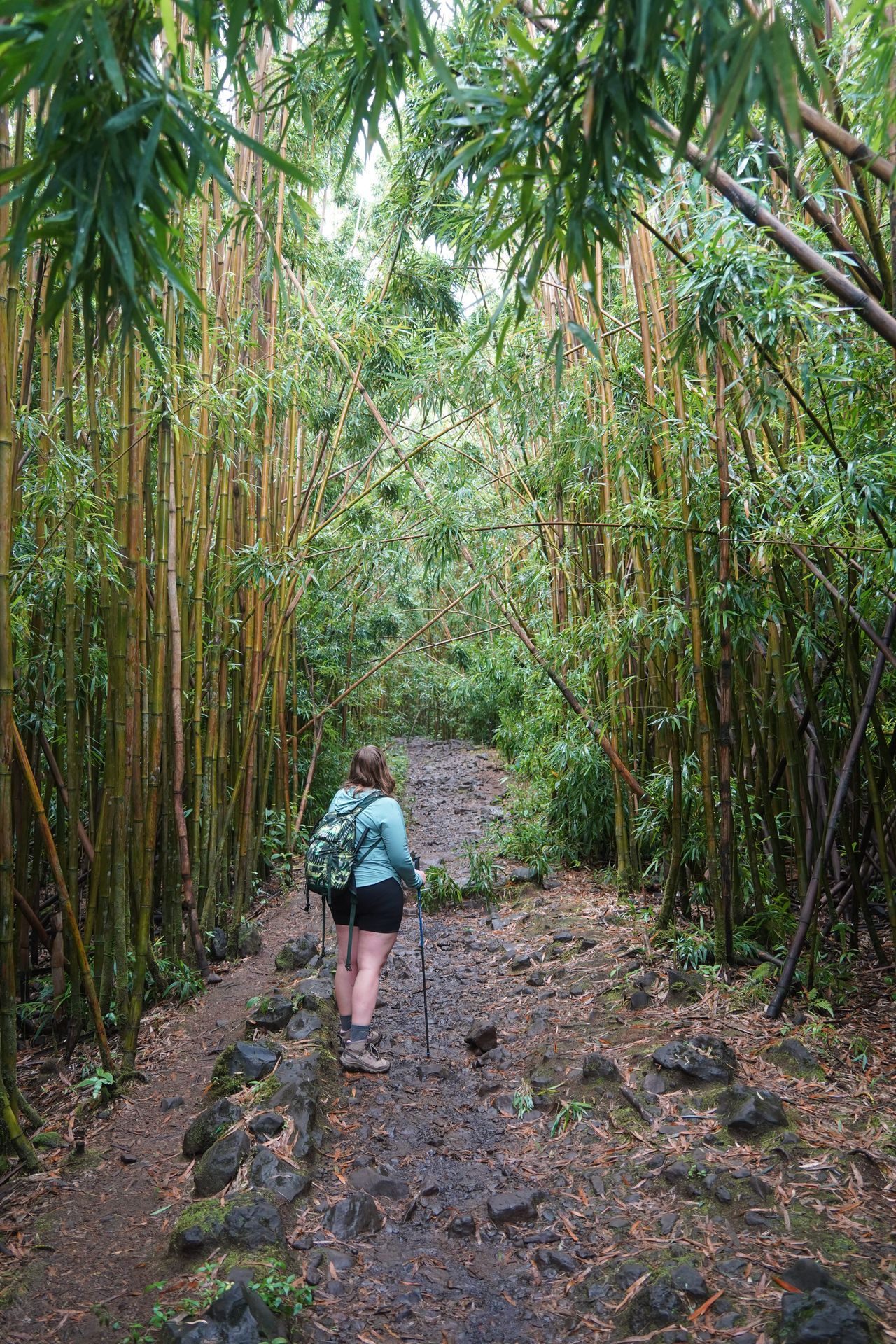 Lydia in between tall bamboo groves on the Pipiwai Trail