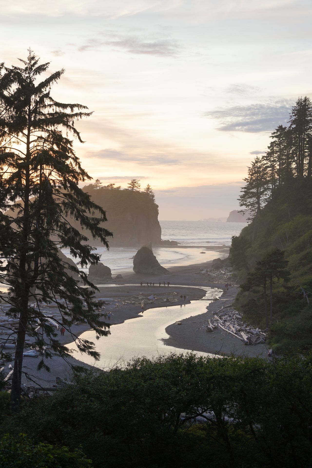 Looking down at Ruby Beach at sunset. There is a river going through the sand a giant rock near the ocean shore