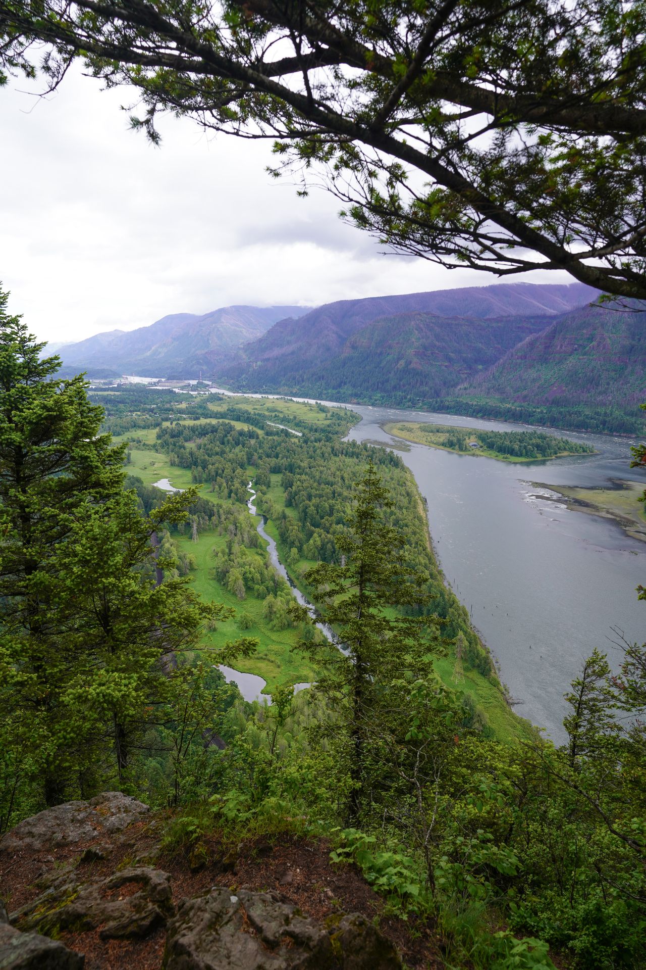 A view of the Columbia River from Beacon Rock