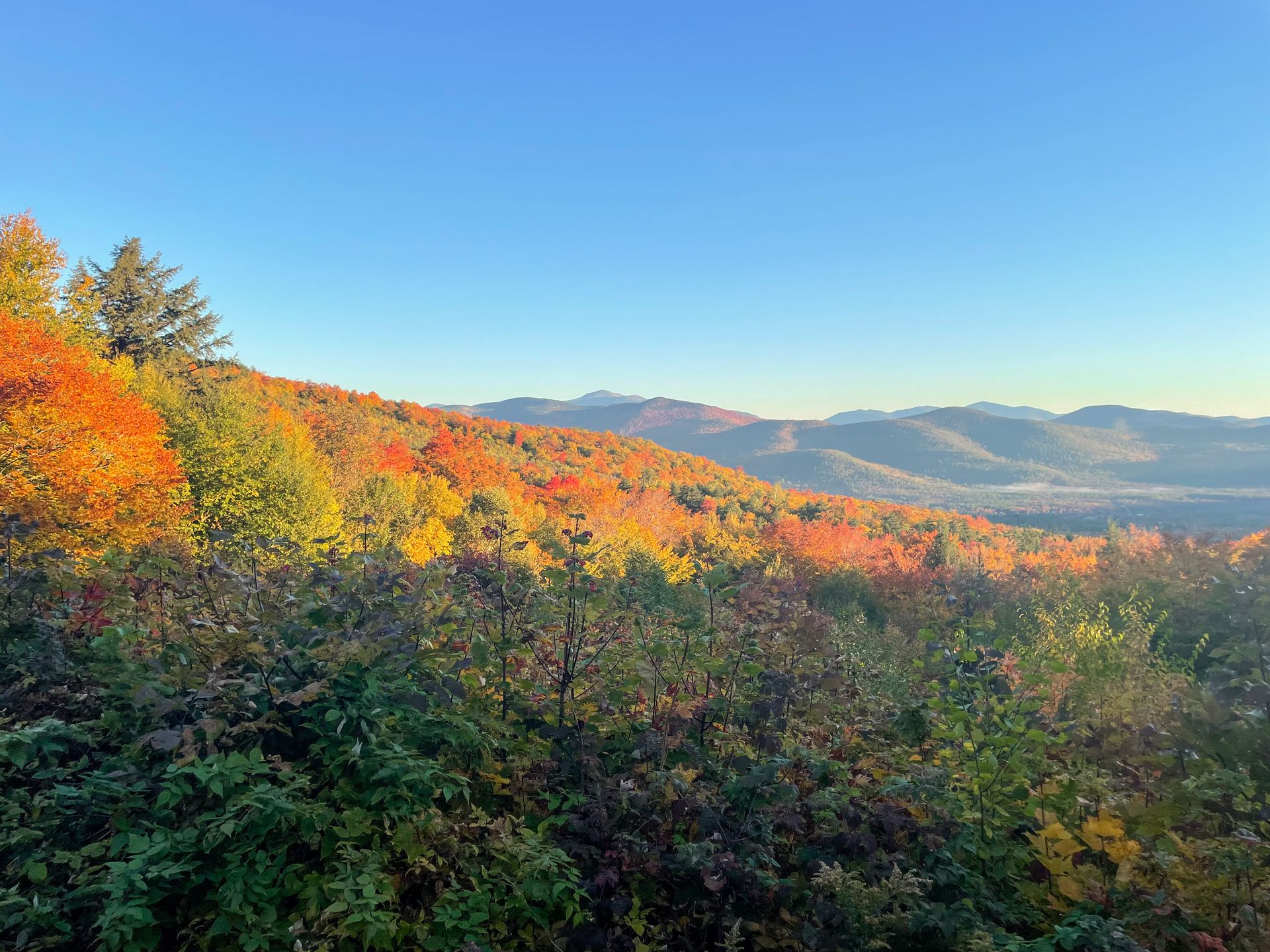 Bright orange fall foliage and mountains in the distance, seen from an overlook along Bear Notch Road
