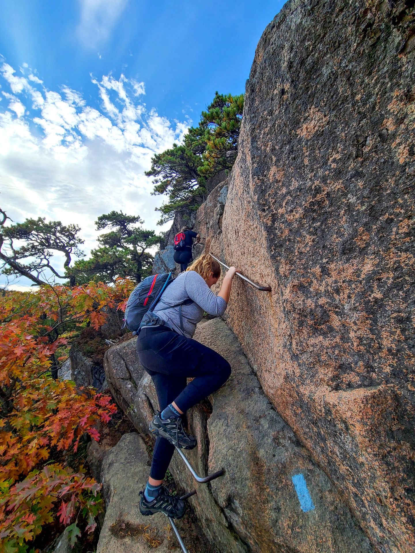 Lydia climbing up metal rungs on the Beehive trail.