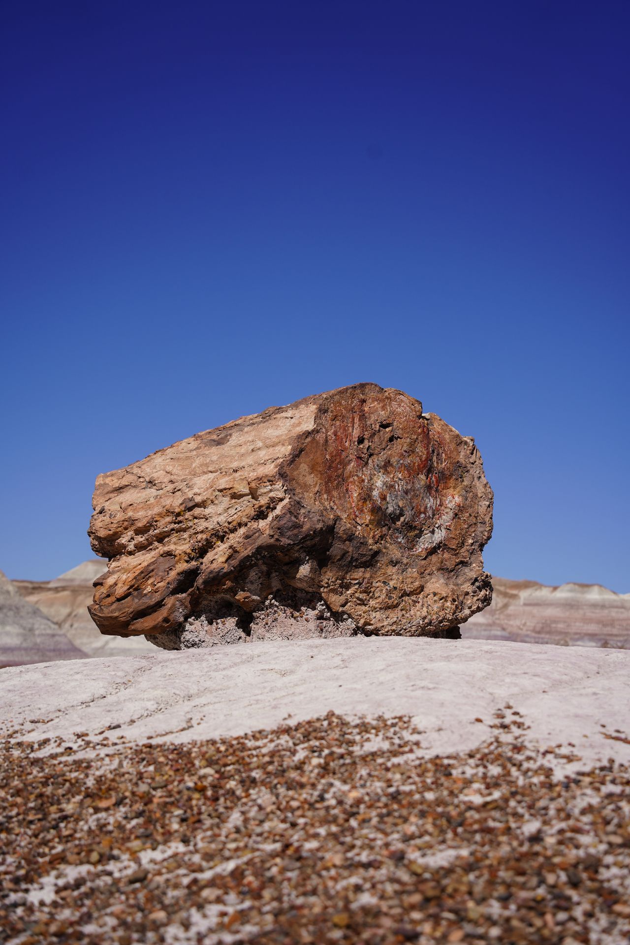 A giant log of petrified wood on the Blue Mesa Trail