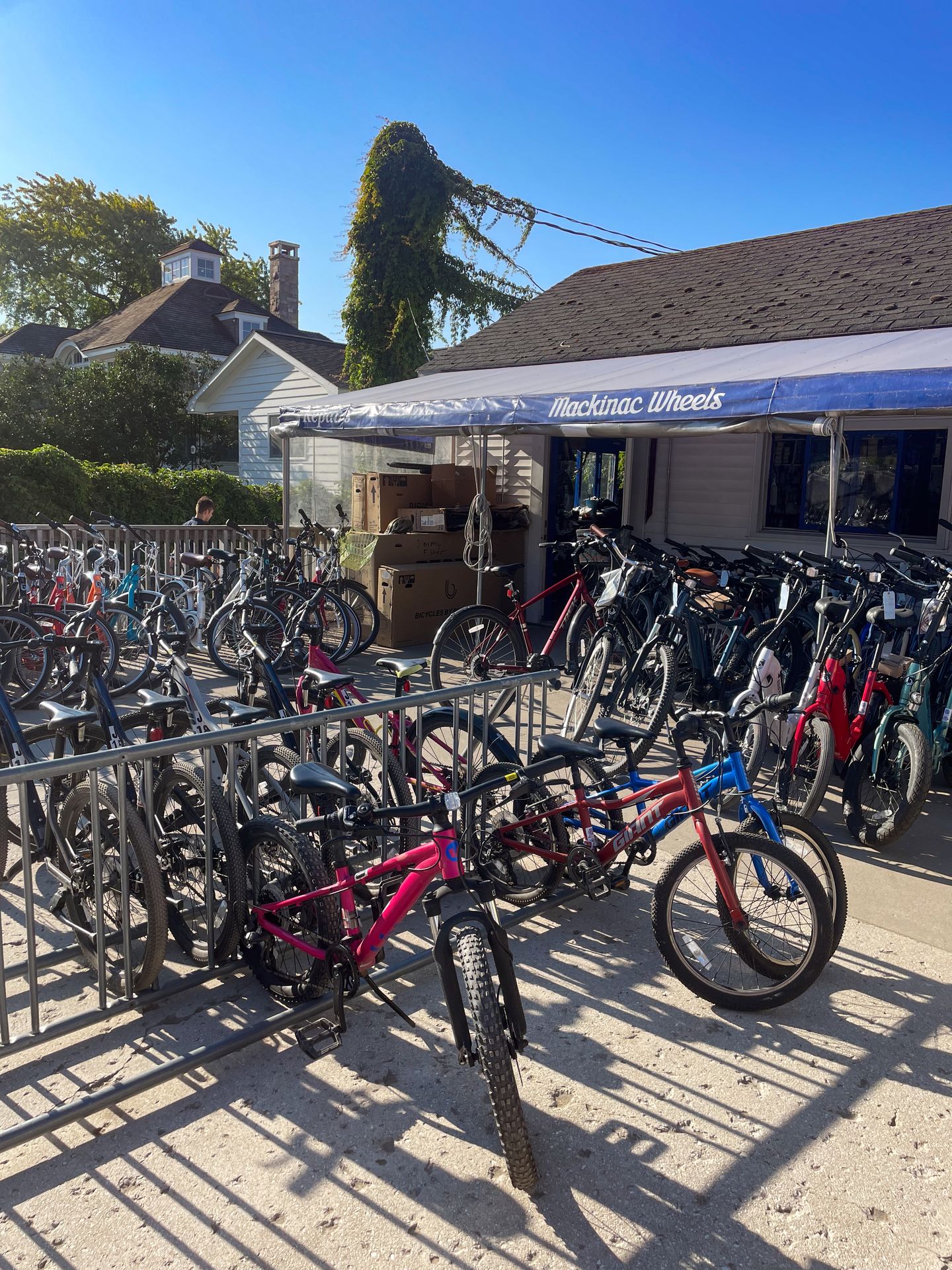 Several bikes at the Mackinac Wheels bike shop.