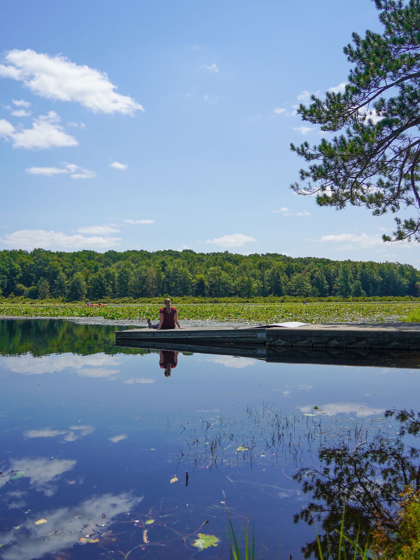 Lydia sitting on a dock on Black Moshannon Lake
