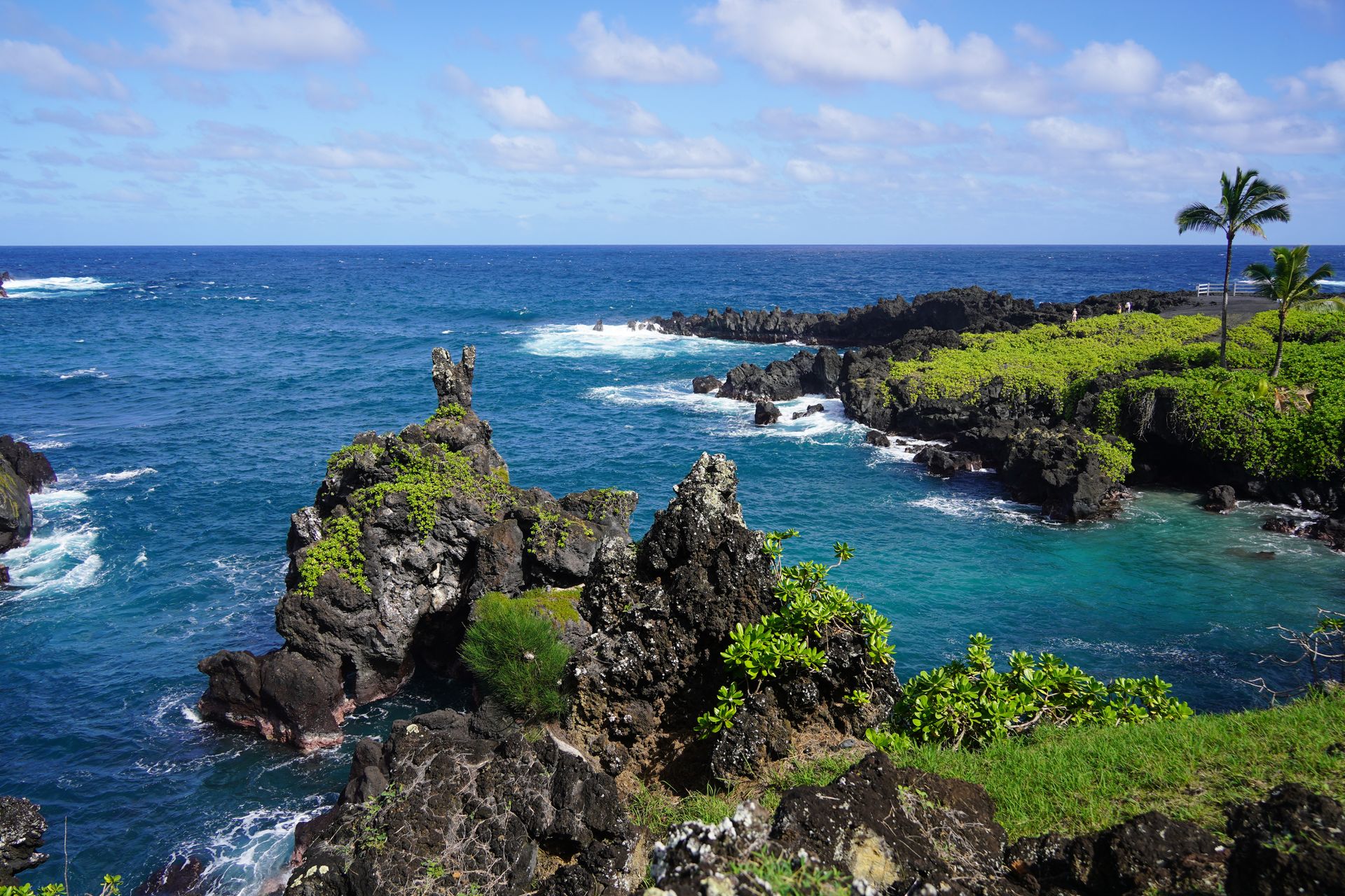 A coastline made up of jagged, black lava rocks, with some greenery on the land