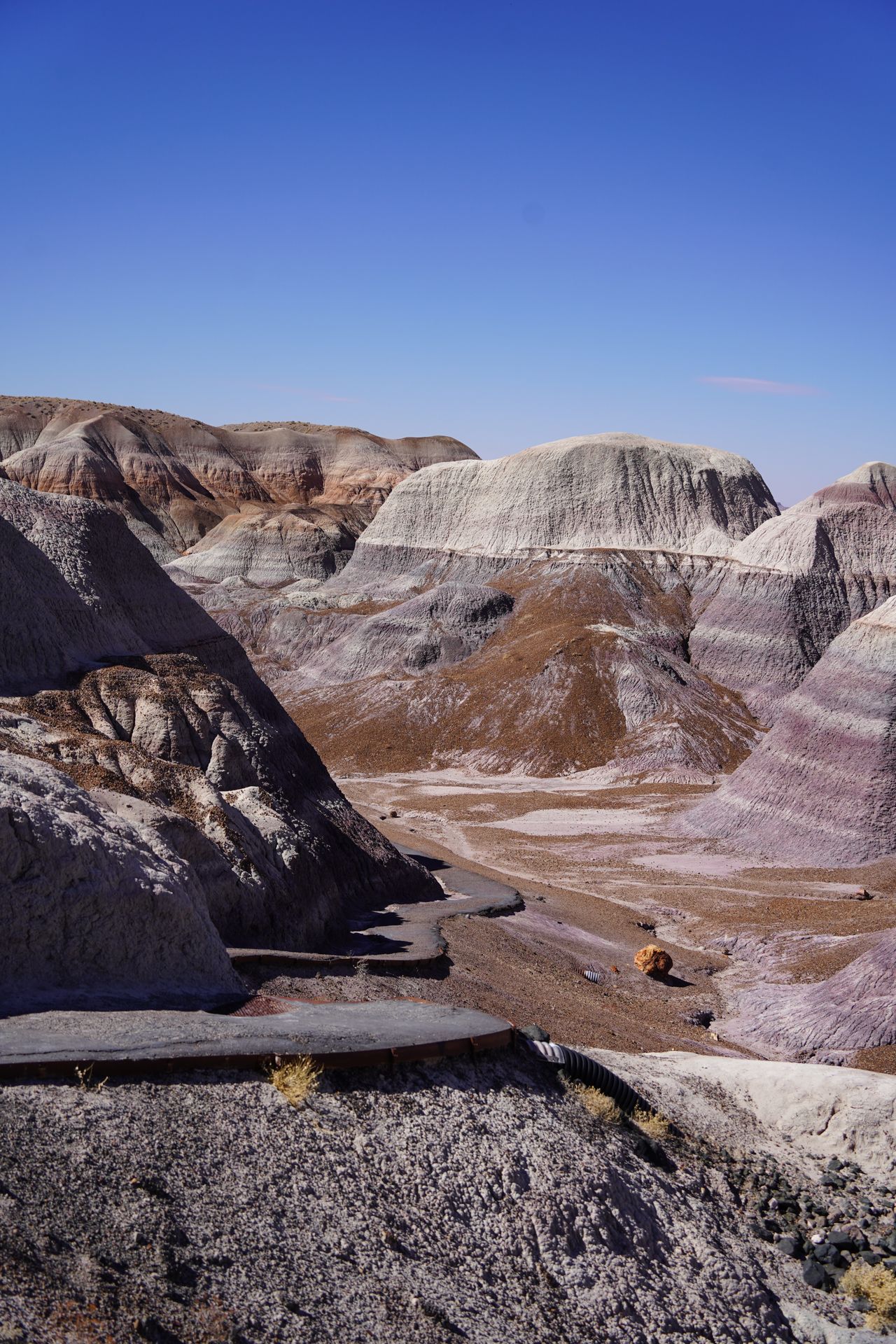 A view of the paved path that leads down to the Blue Mesa trail loop