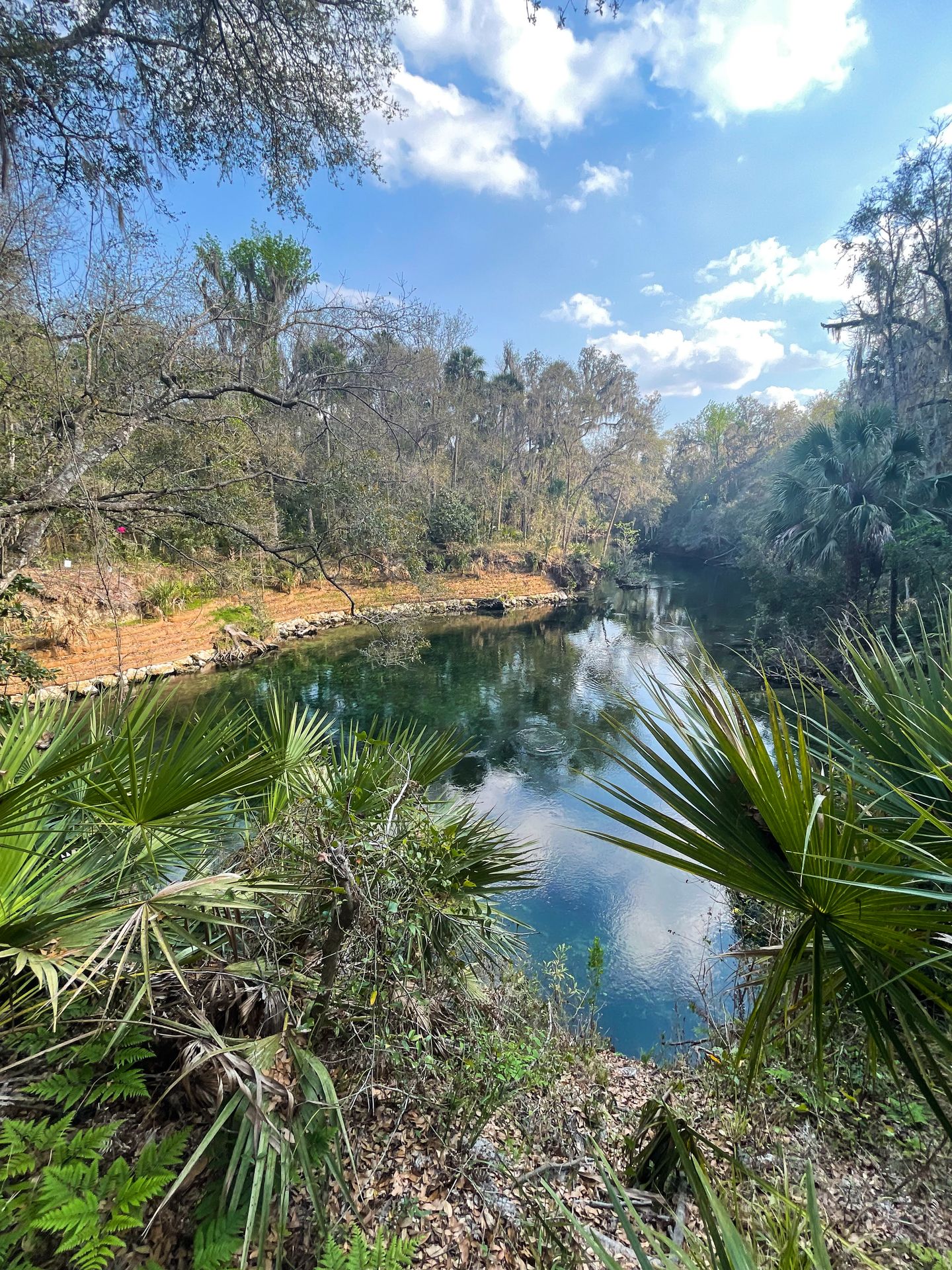 A blue spring with some palms on the shore next to it.